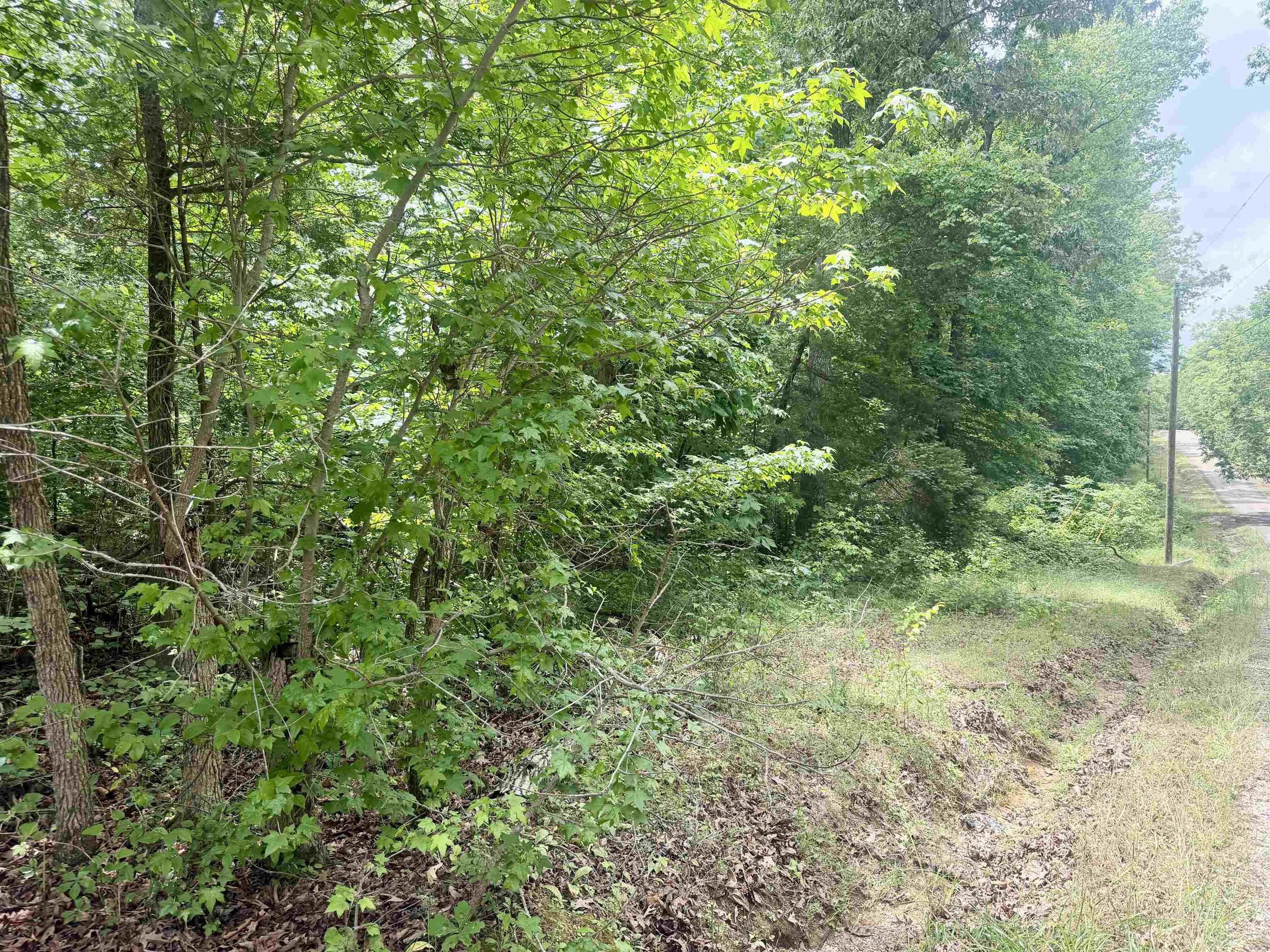 28 & 29 Pleasant Ridge Loop Property Photo 2