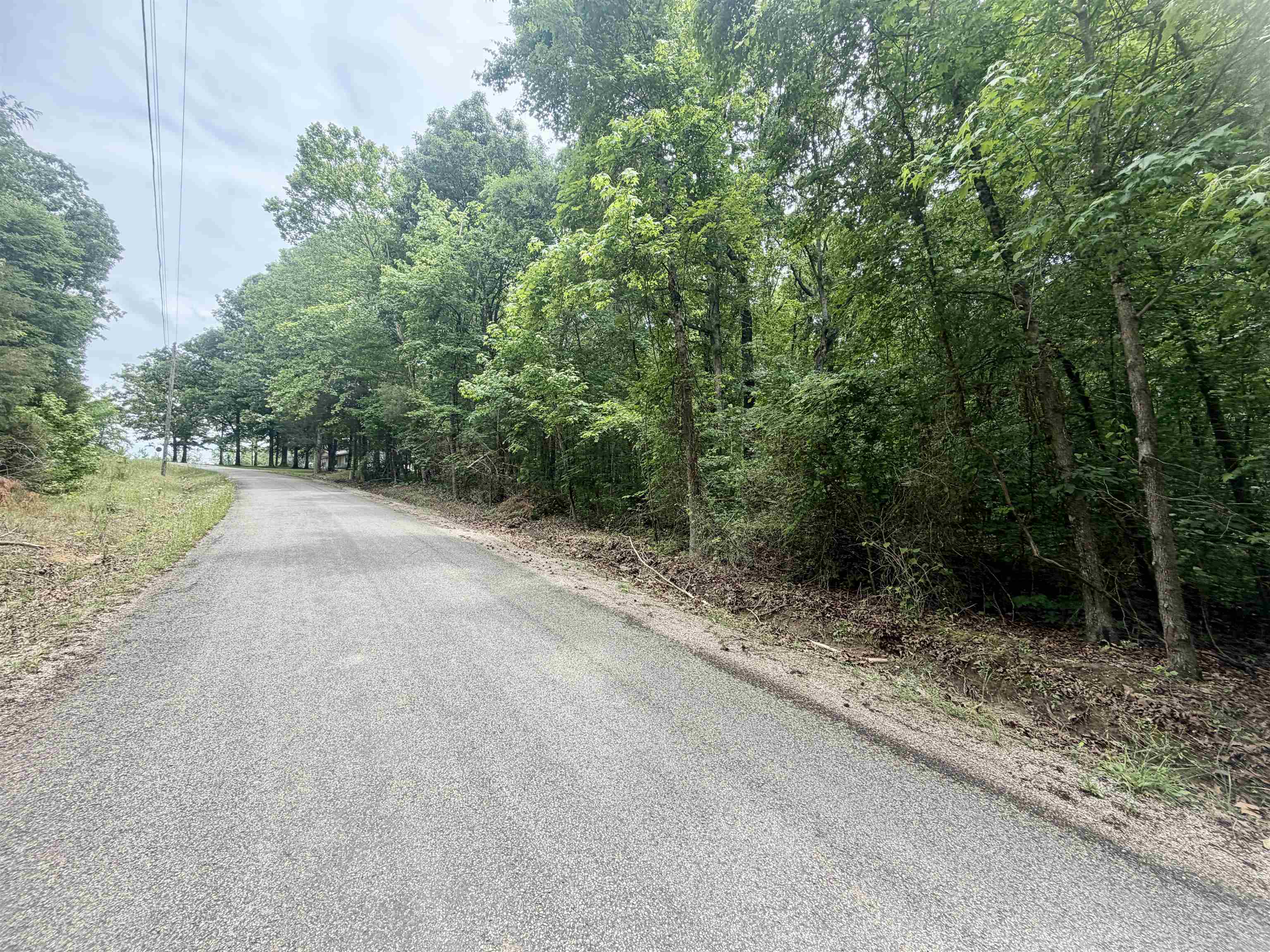 28 & 29 Pleasant Ridge Loop Property Photo 4