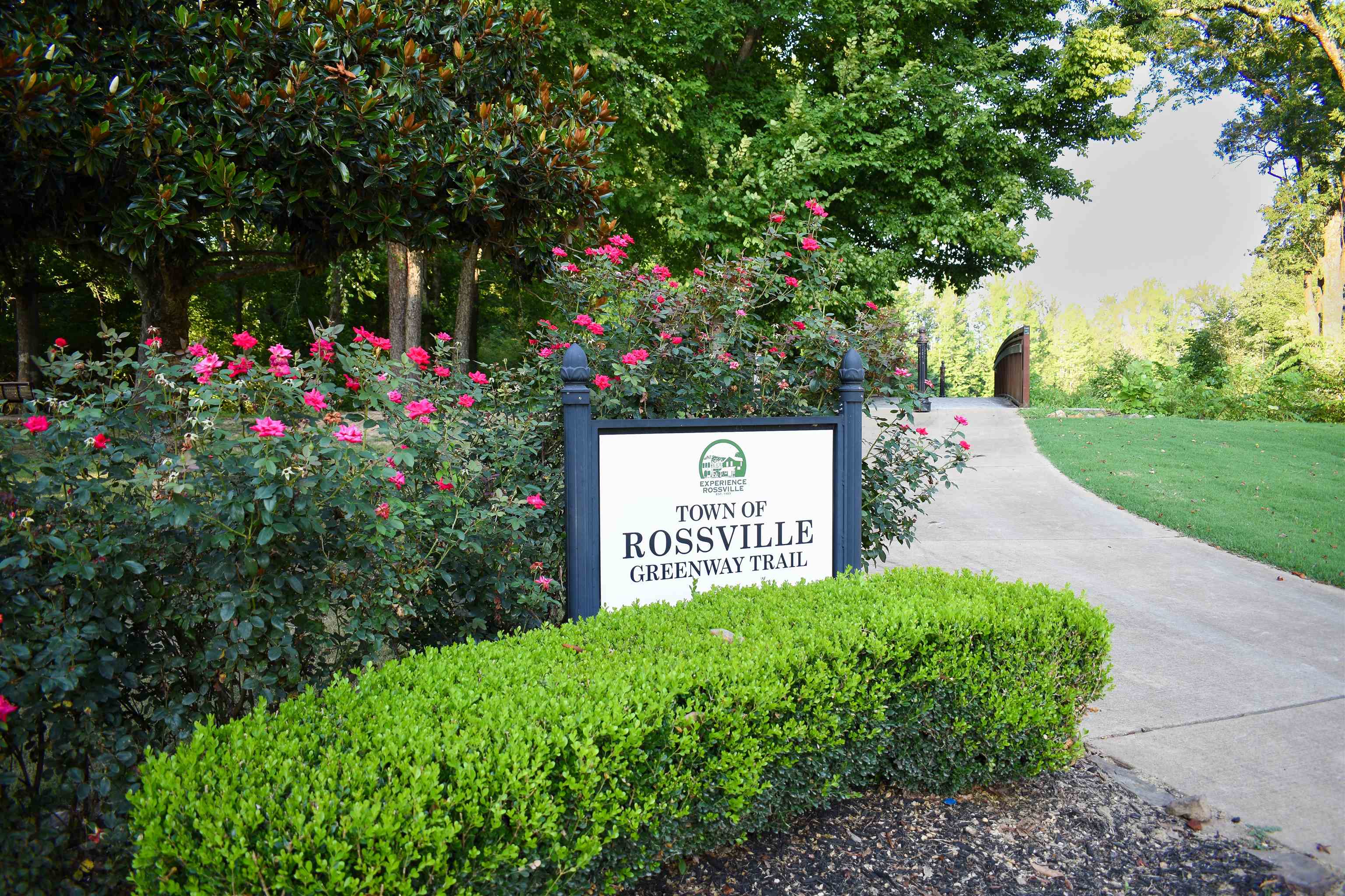 115 Magnolia Ridge Dr Property Photo 7