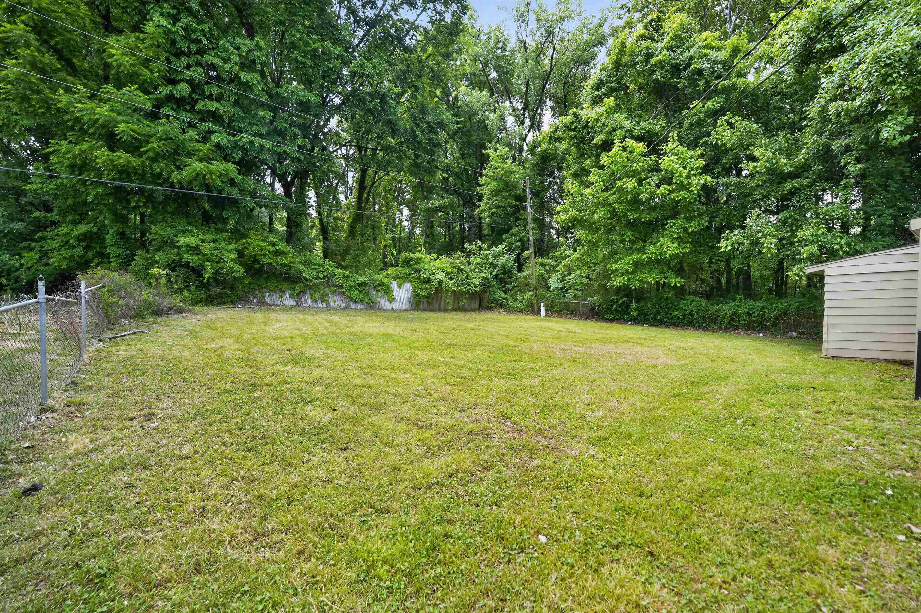 3608 Cane Ridge Dr Property Photo 6