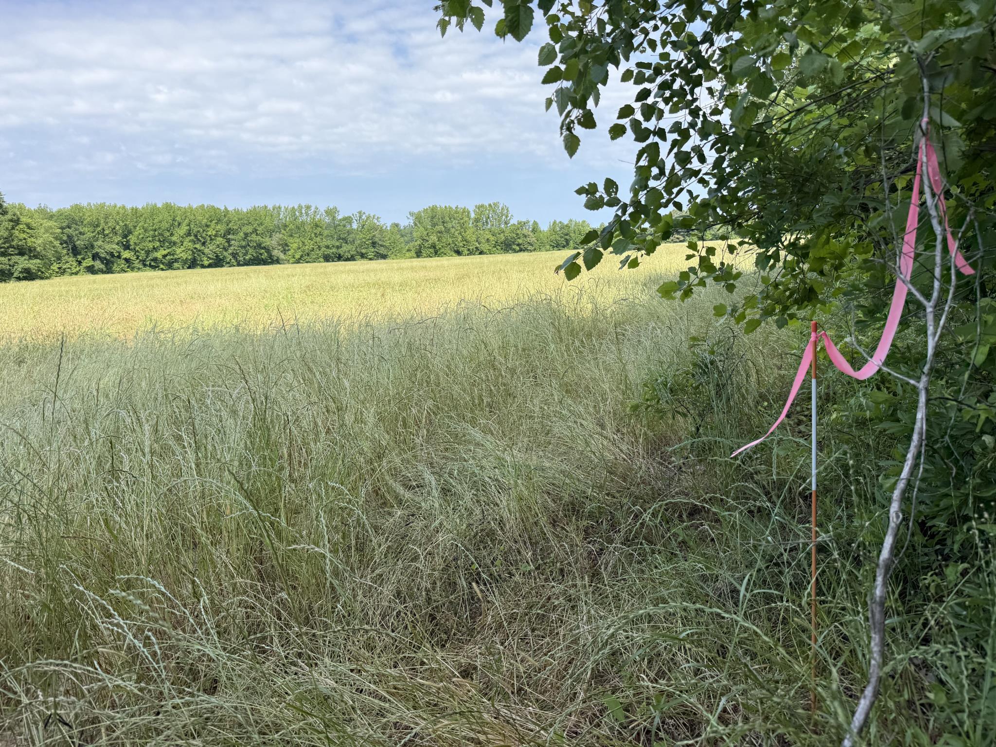 1 Carter Rd Property Photo 16