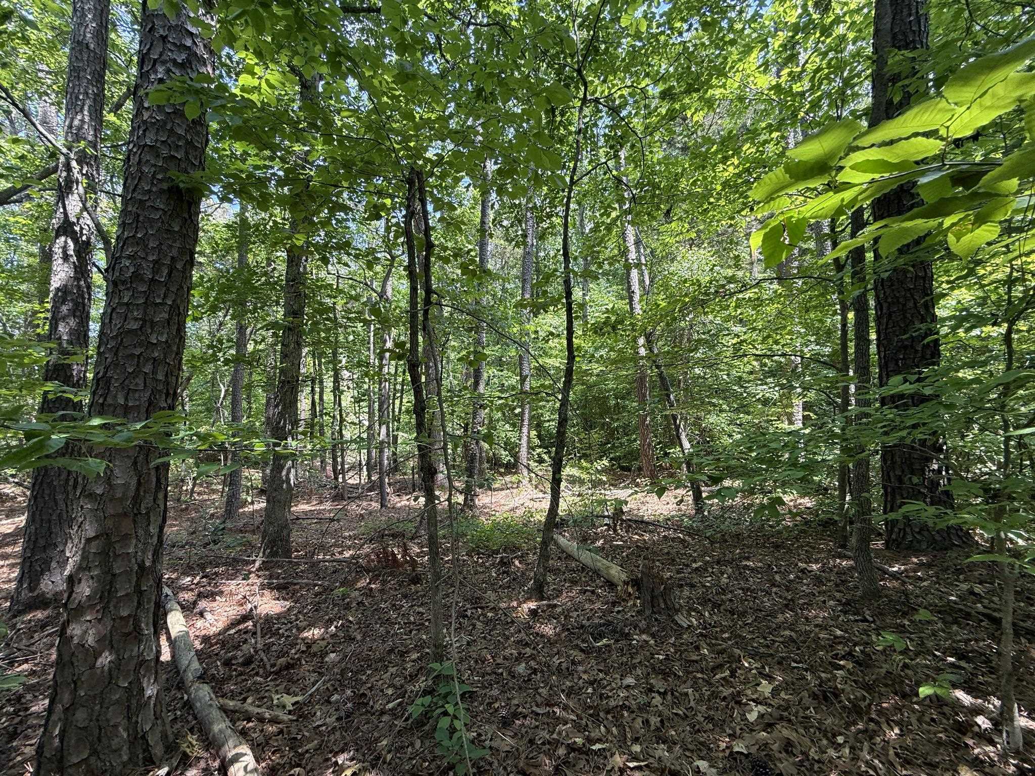 1 Carter Rd Property Photo 19