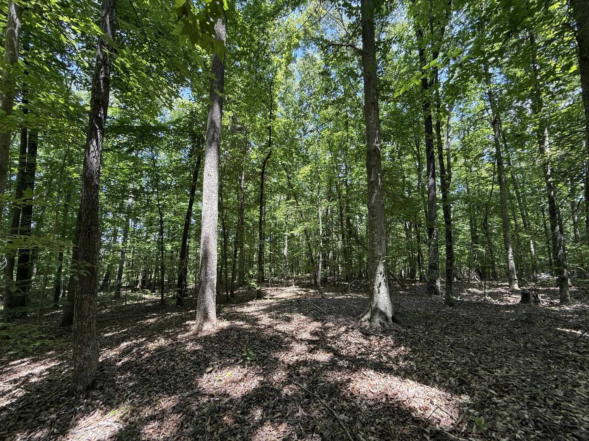 1 Carter Rd Property Photo 20