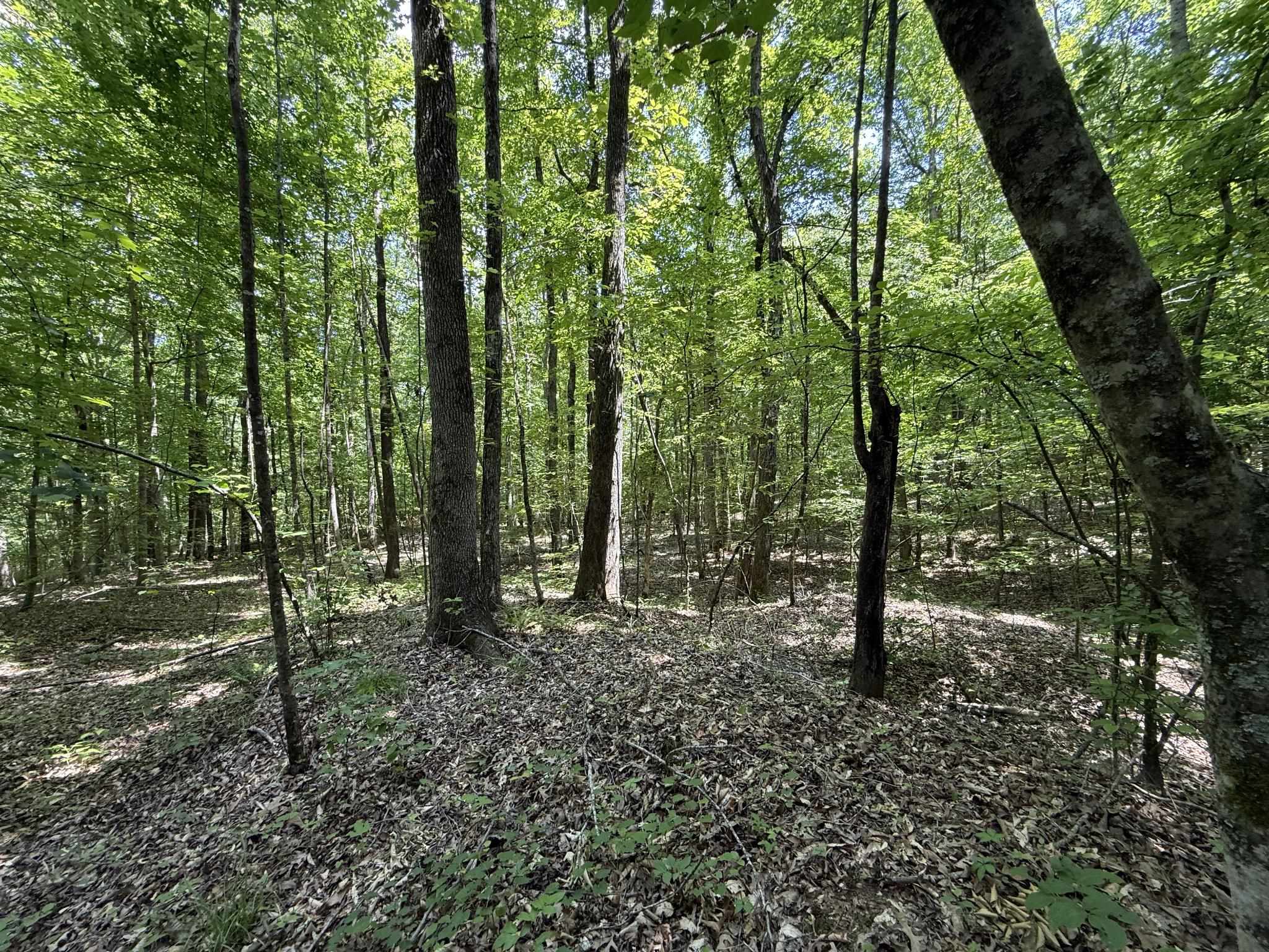 1 Carter Rd Property Photo 21