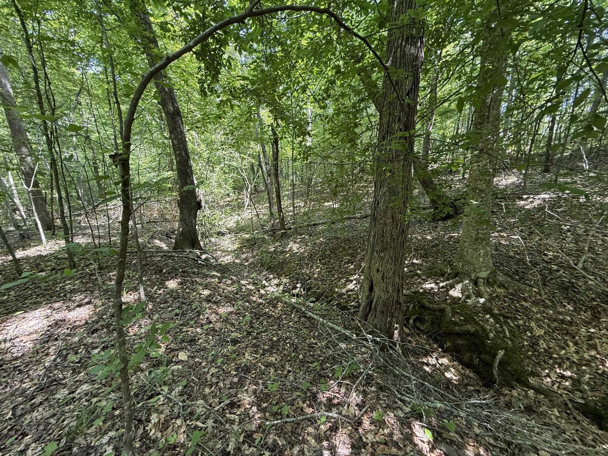 1 Carter Rd Property Photo 25