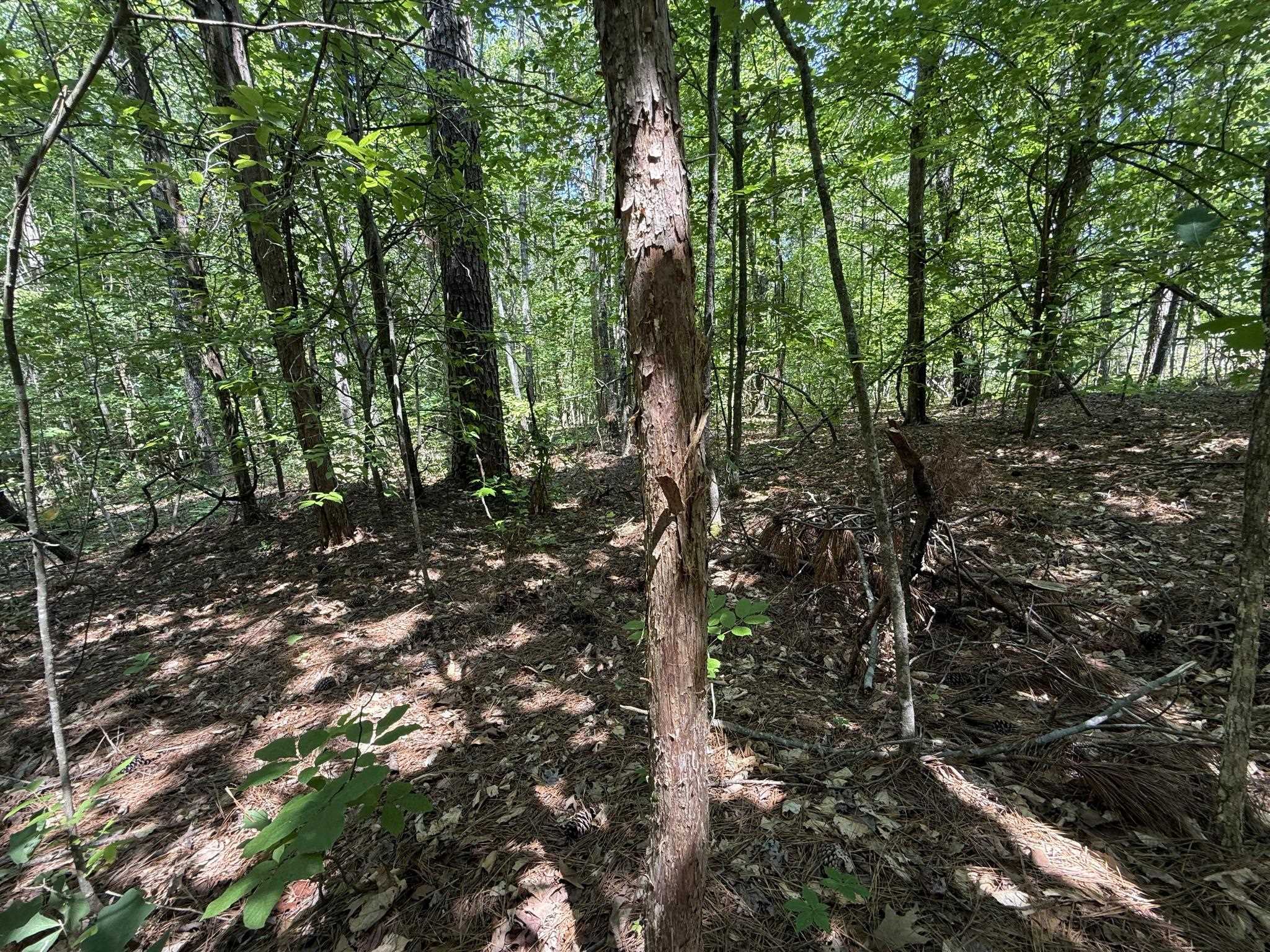 1 Carter Rd Property Photo 28