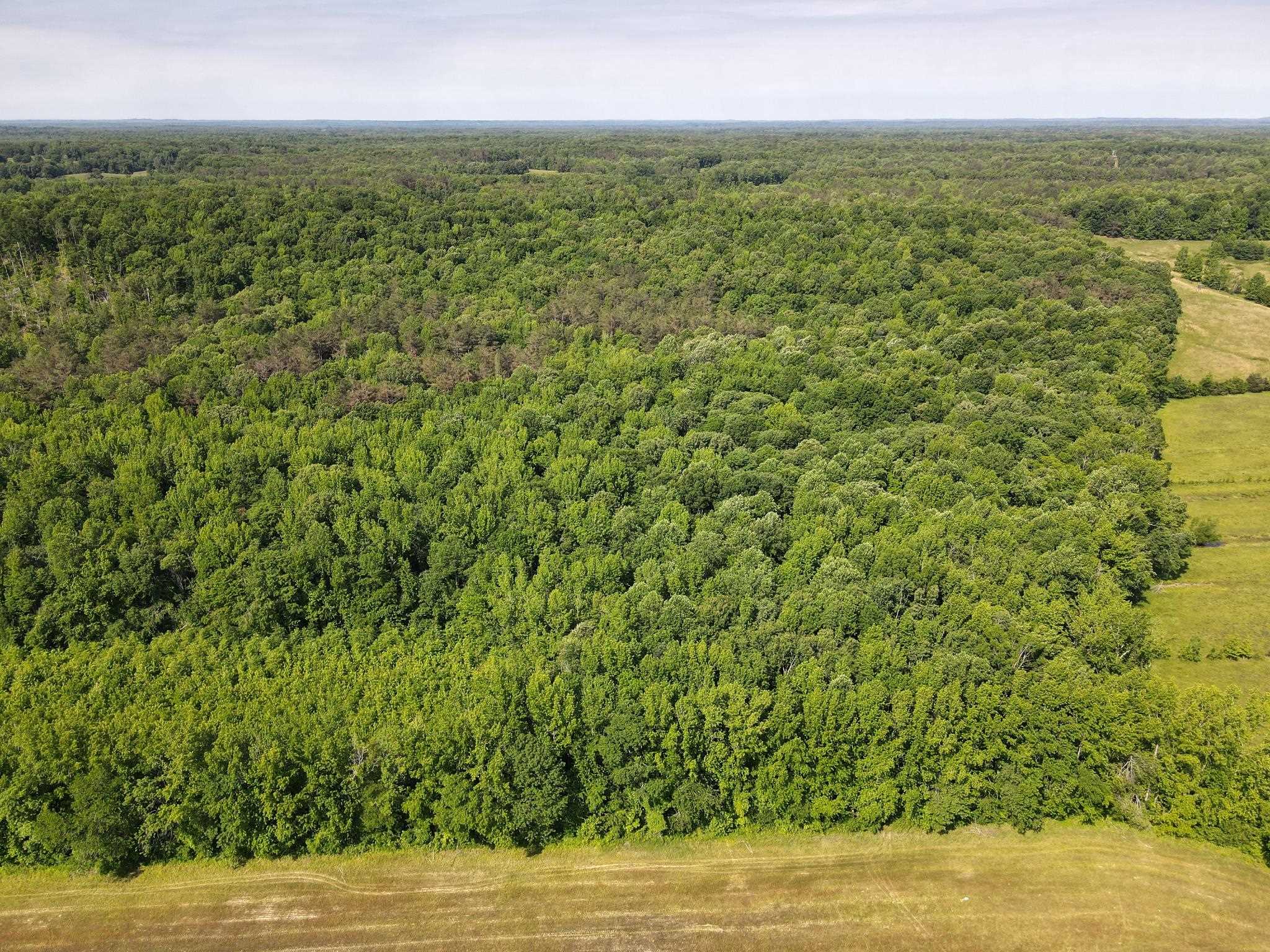 1 Carter Rd Property Photo 38