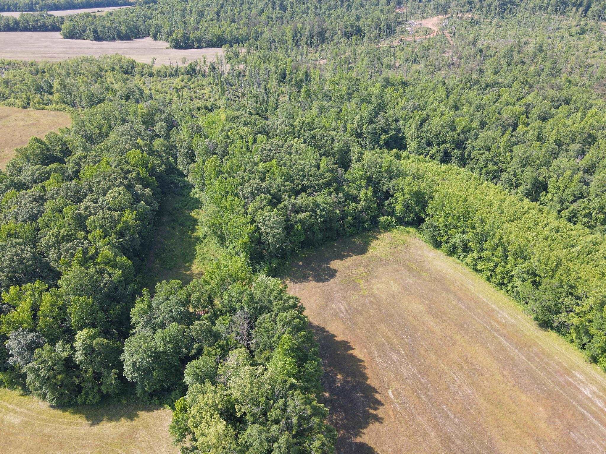 1 Carter Rd Property Photo 40