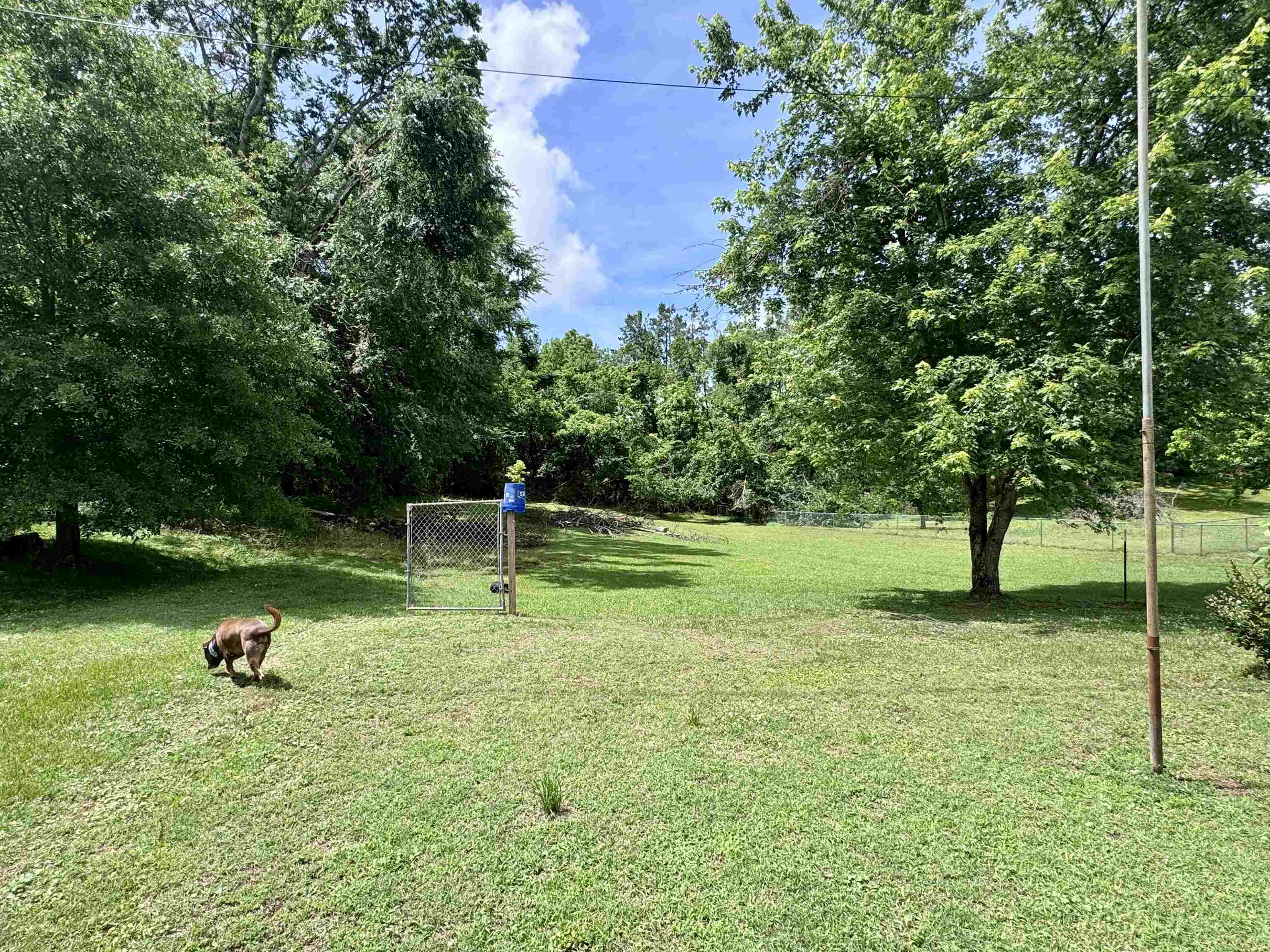 237 Old Shiloh Rd Property Photo 11