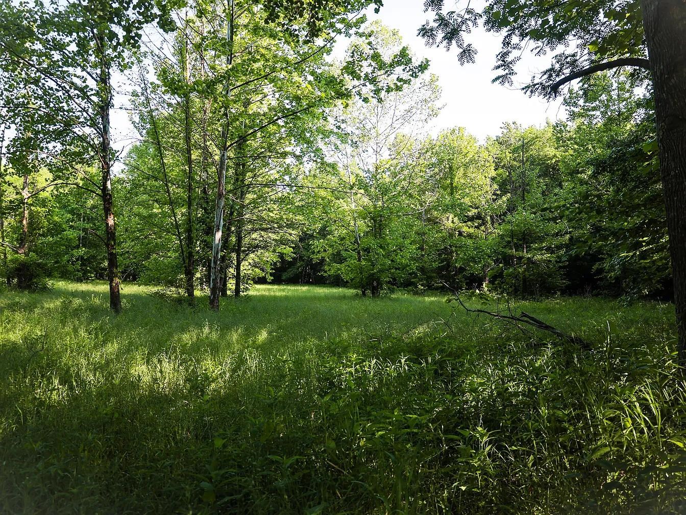 0 Bunches Chapel Rd Property Photo 2