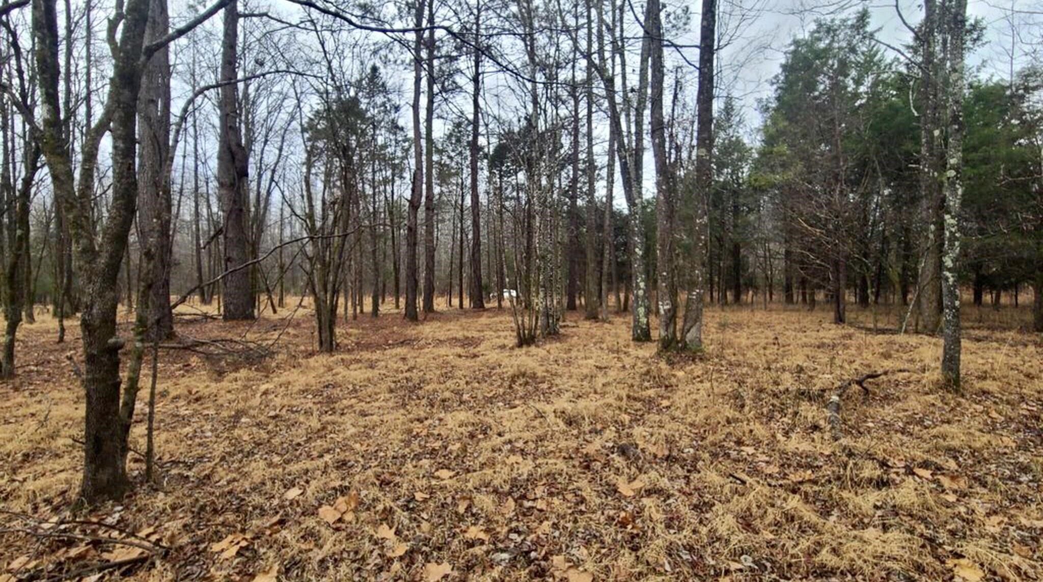 487 Fairway Dr Property Photo 6