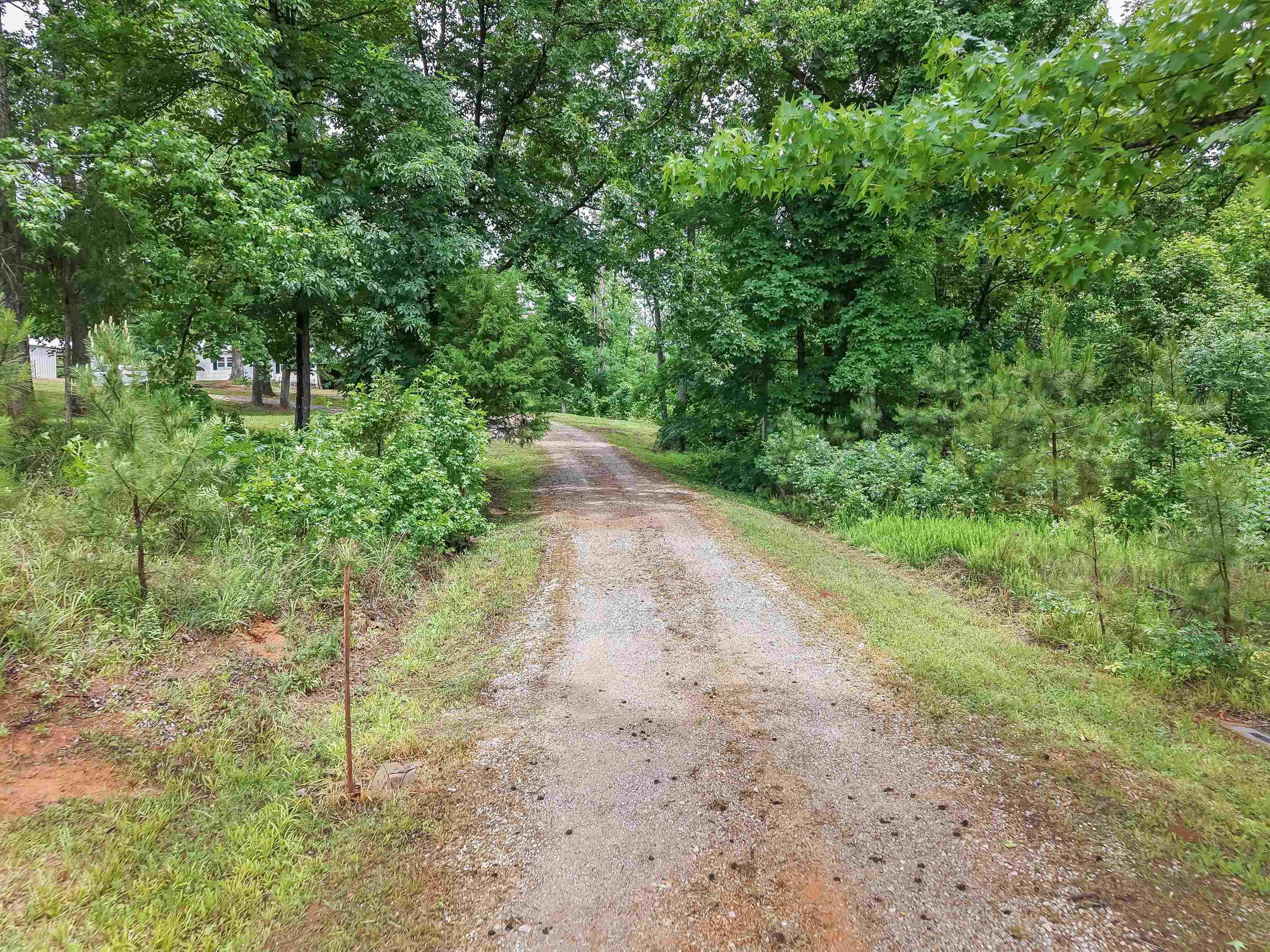 6264 45 Hwy S Property Photo 9