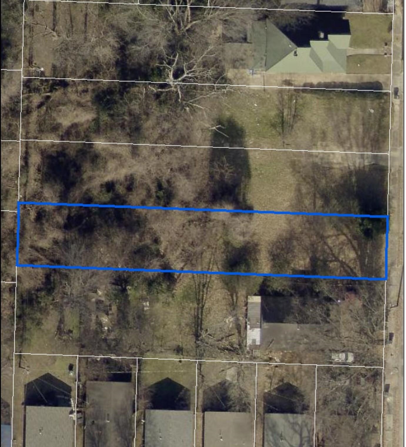 1237 DUNNAVANT ST Property Photo 1