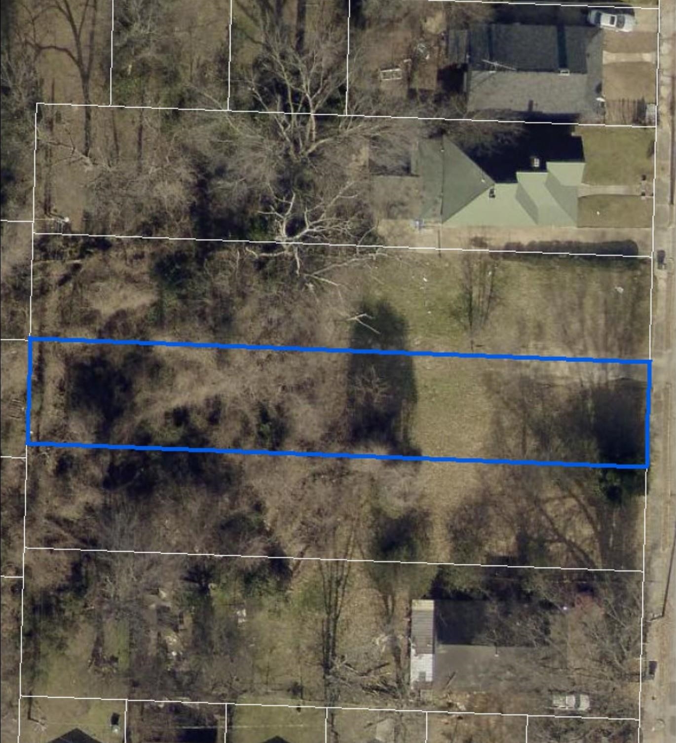 1235 DUNNAVANT ST Property Photo 1
