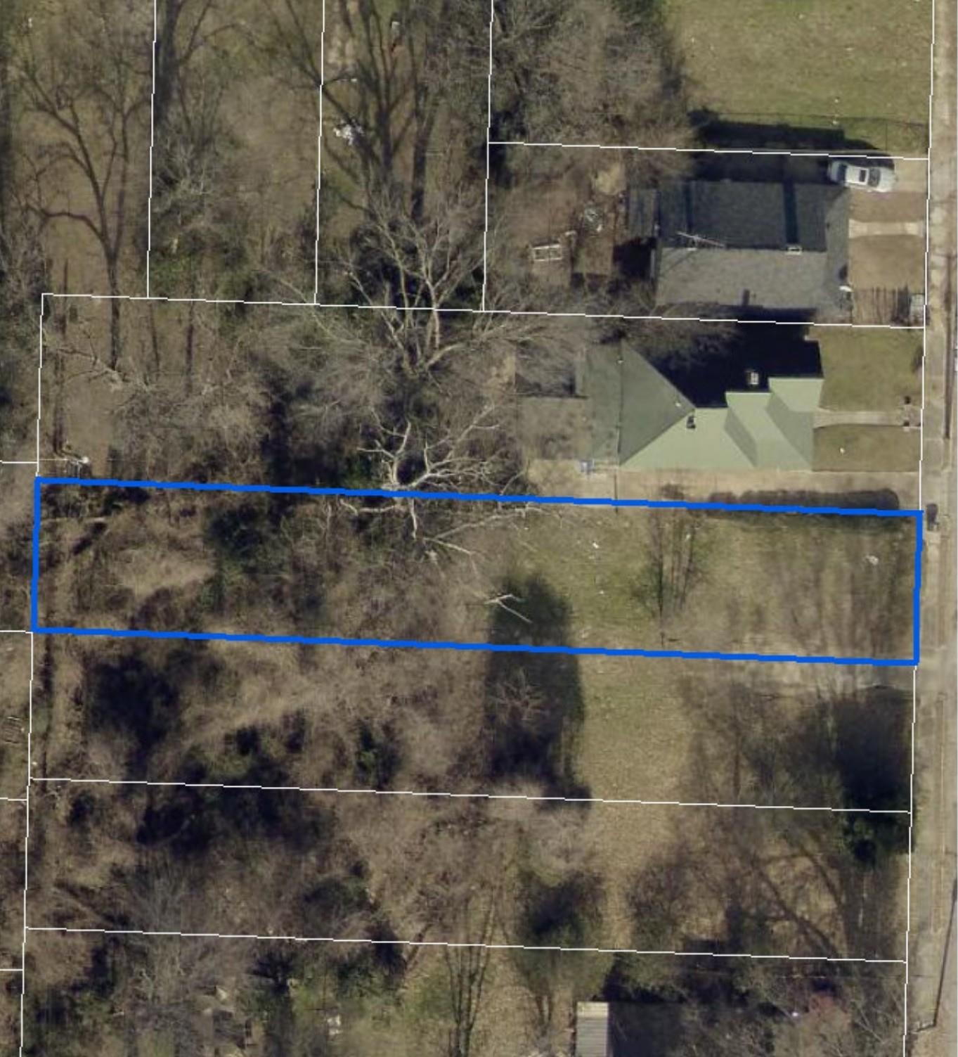 1231 DUNNAVANT ST Property Photo 1
