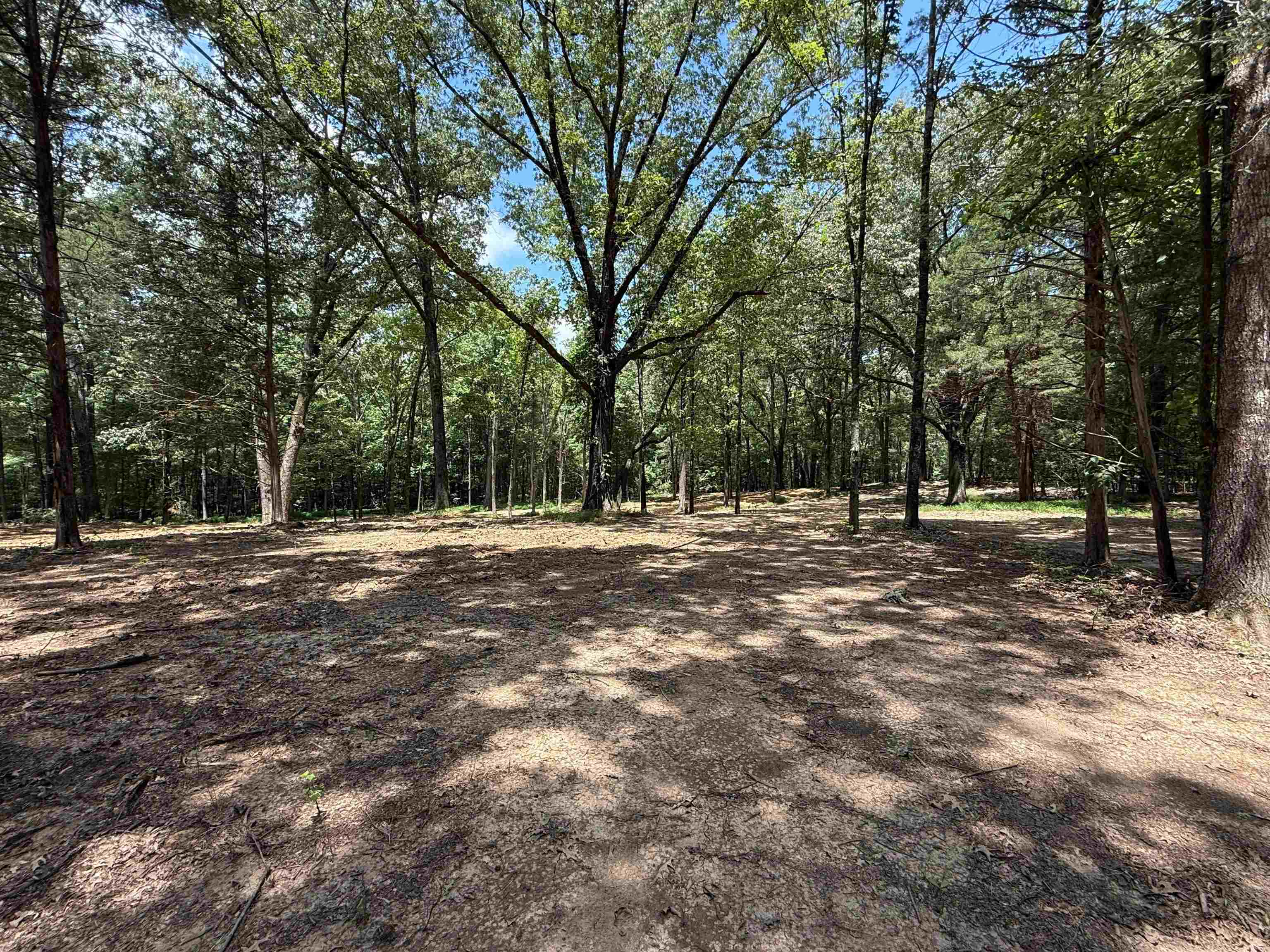 0 Donelson Dr Property Photo 16