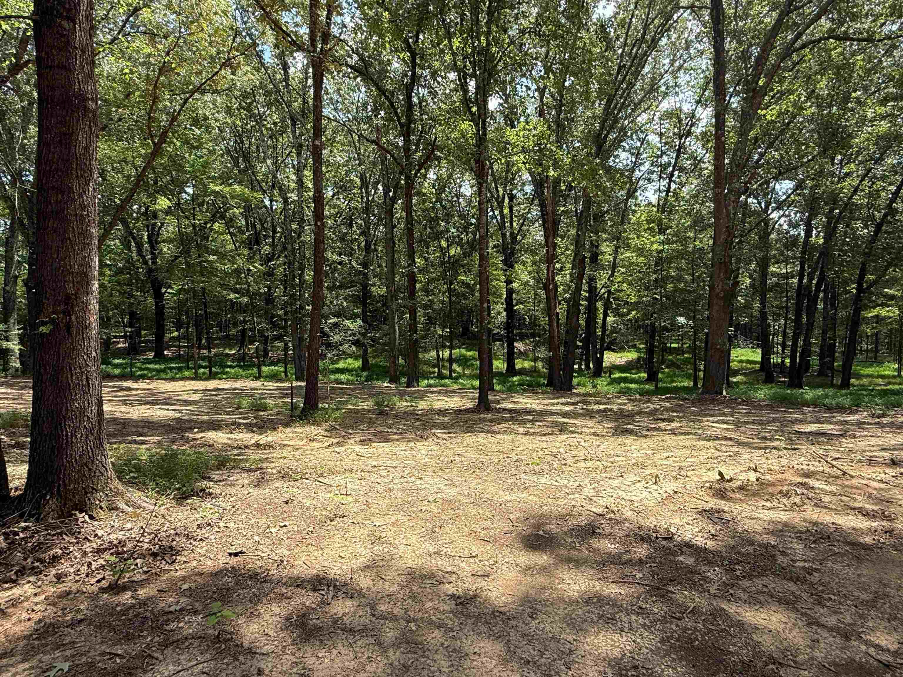 0 Donelson Dr Property Photo 18