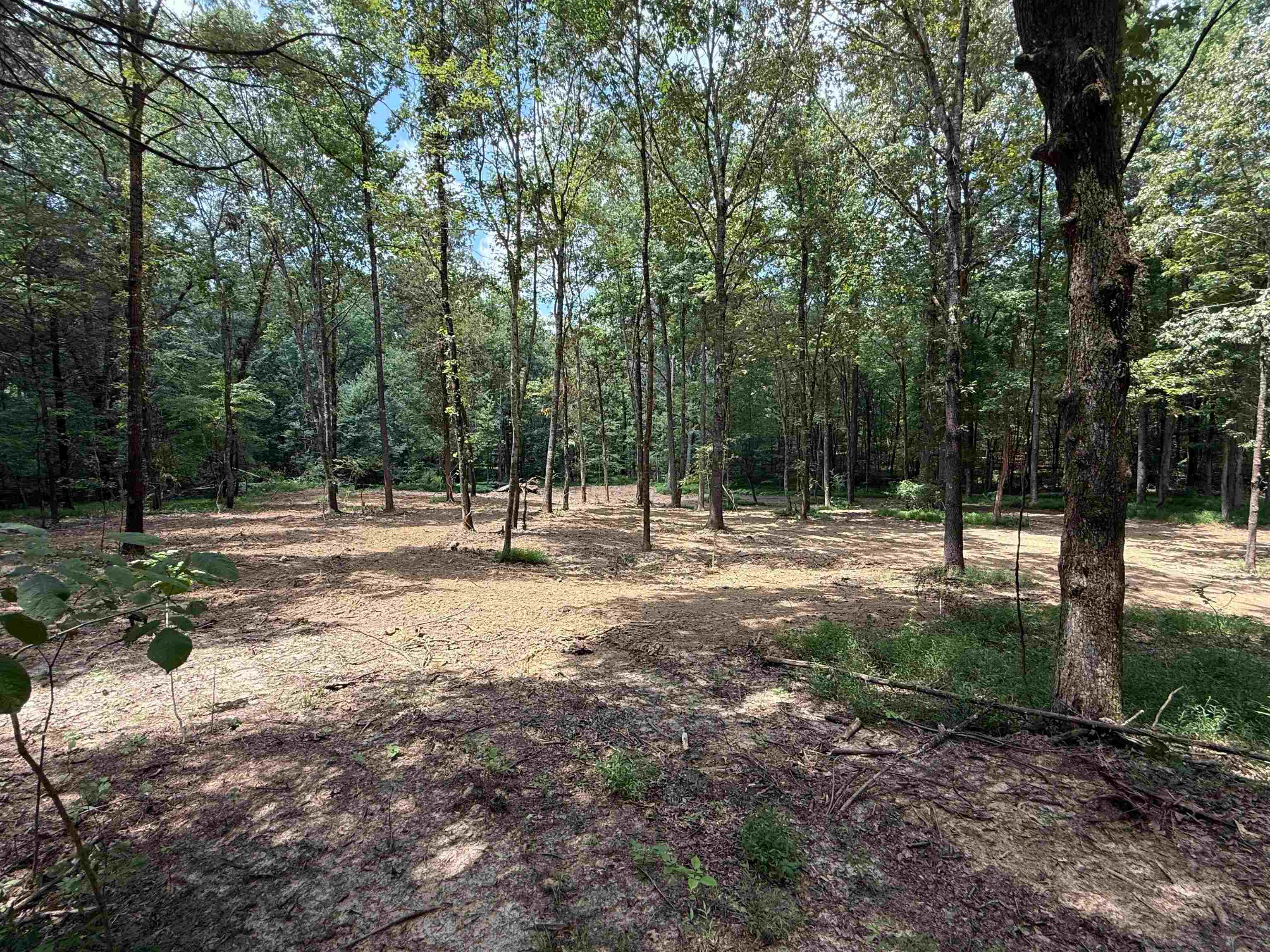 0 Donelson Dr Property Photo 20