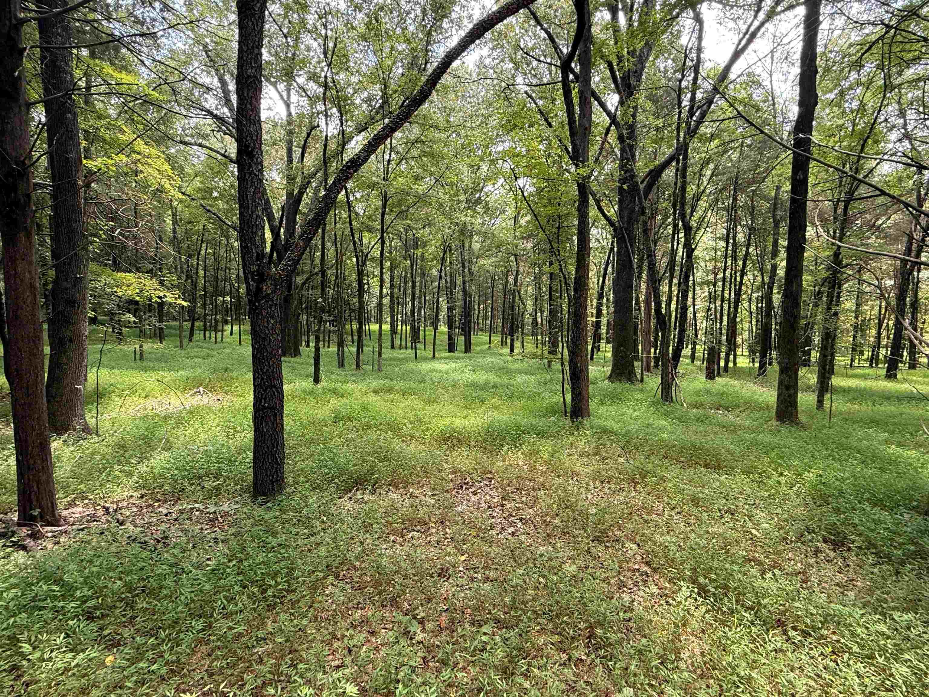 0 Donelson Dr Property Photo 22