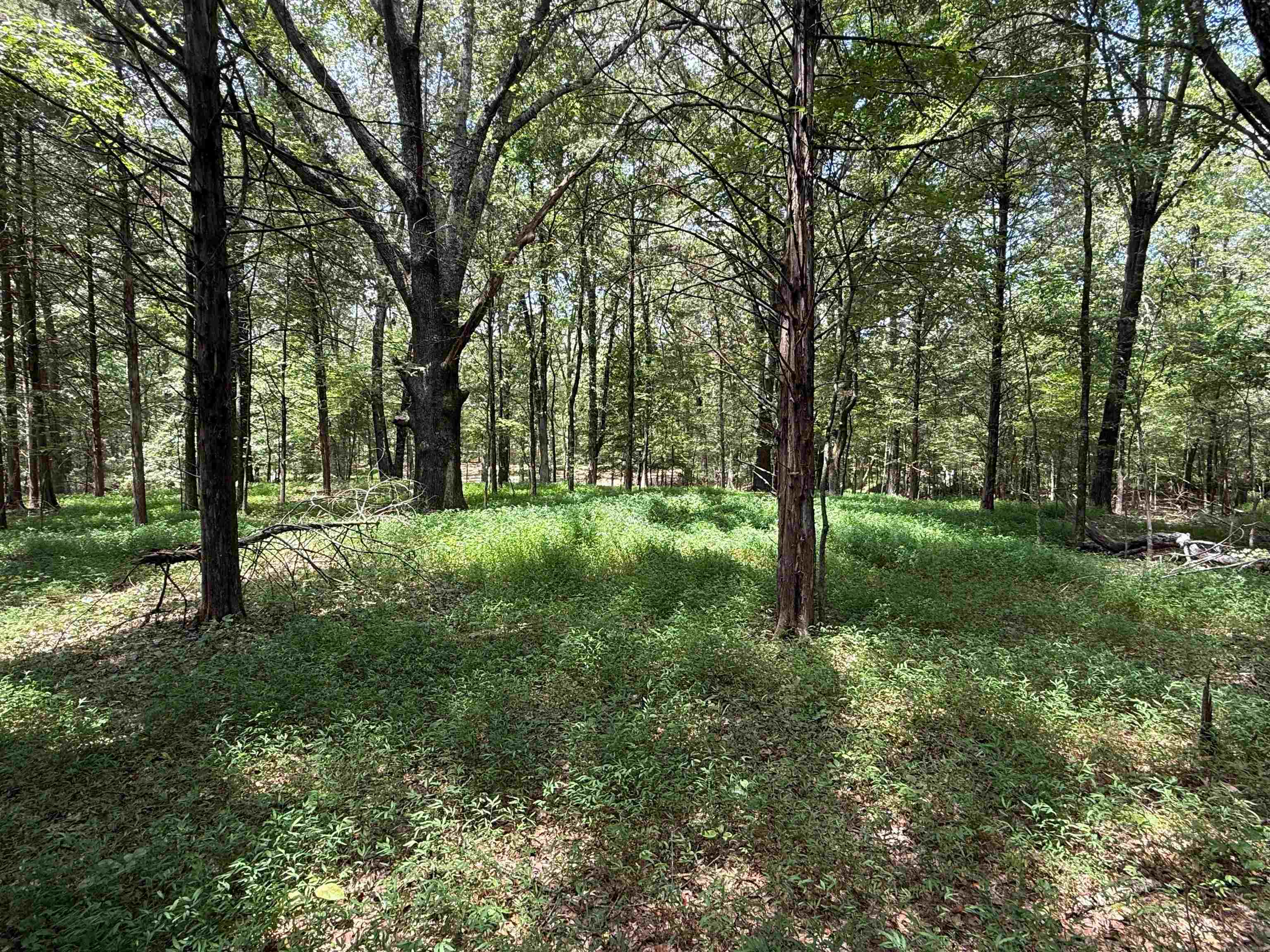 0 Donelson Dr Property Photo 23