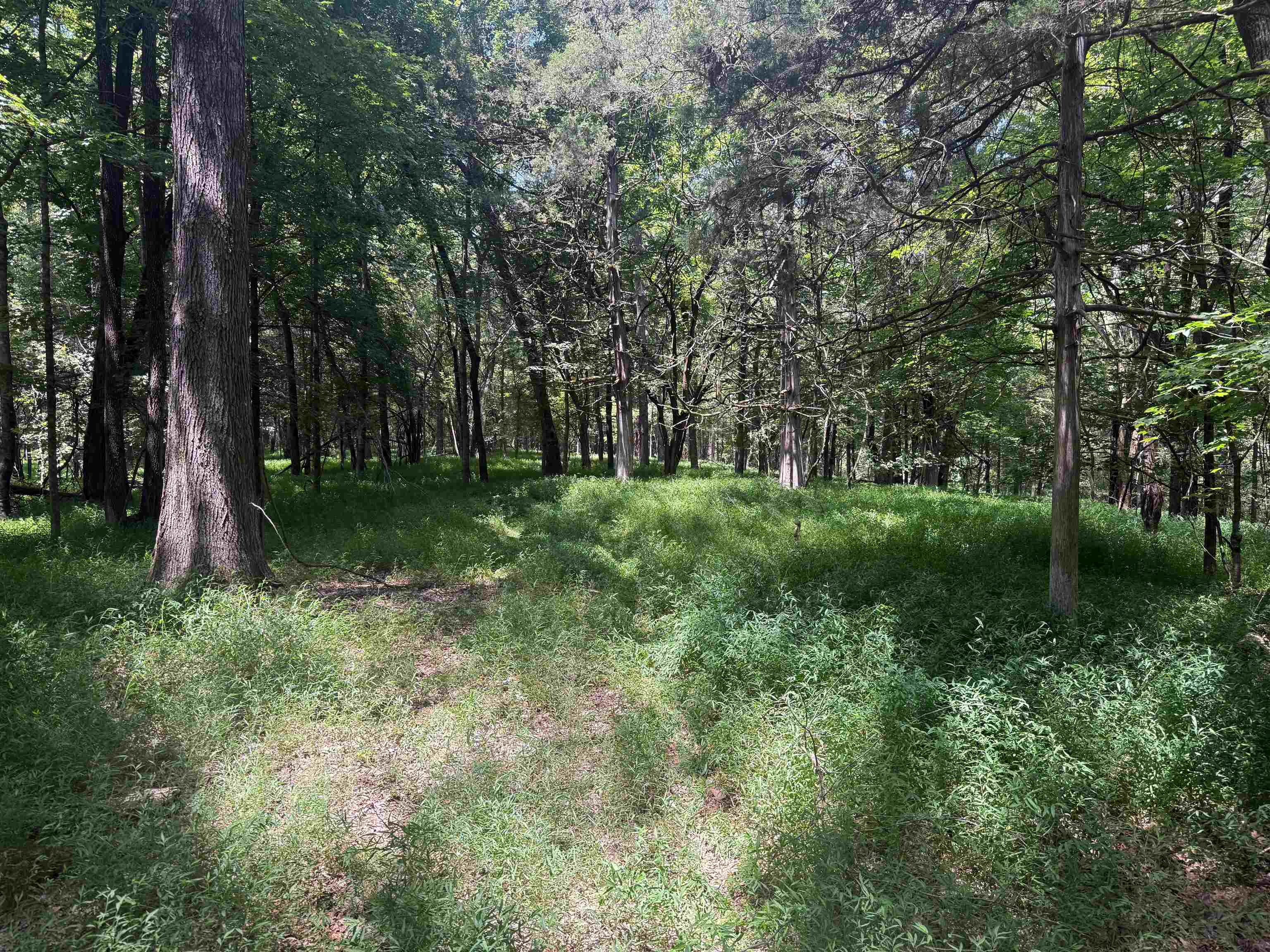 0 Donelson Dr Property Photo 24