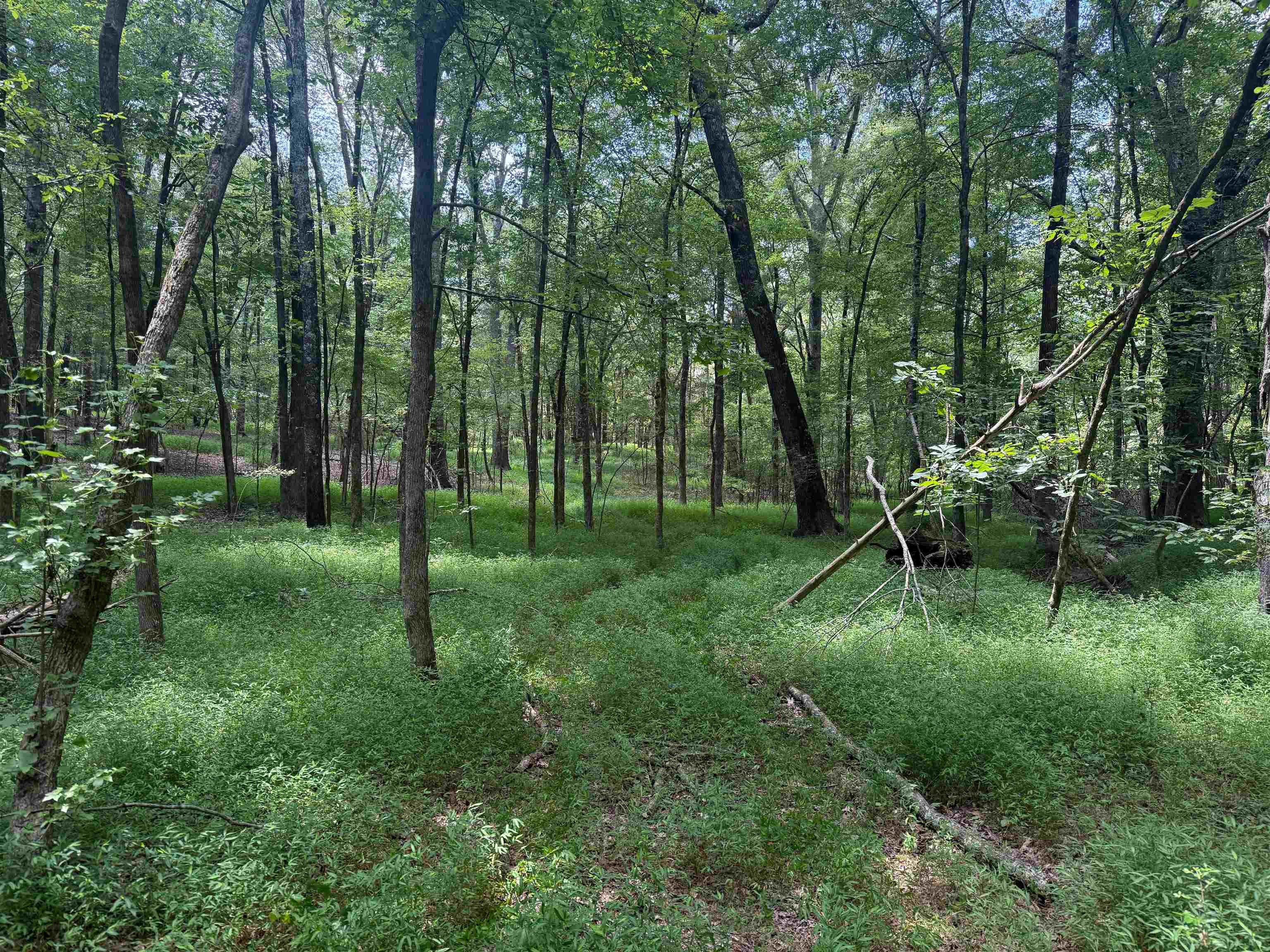 0 Donelson Dr Property Photo 25
