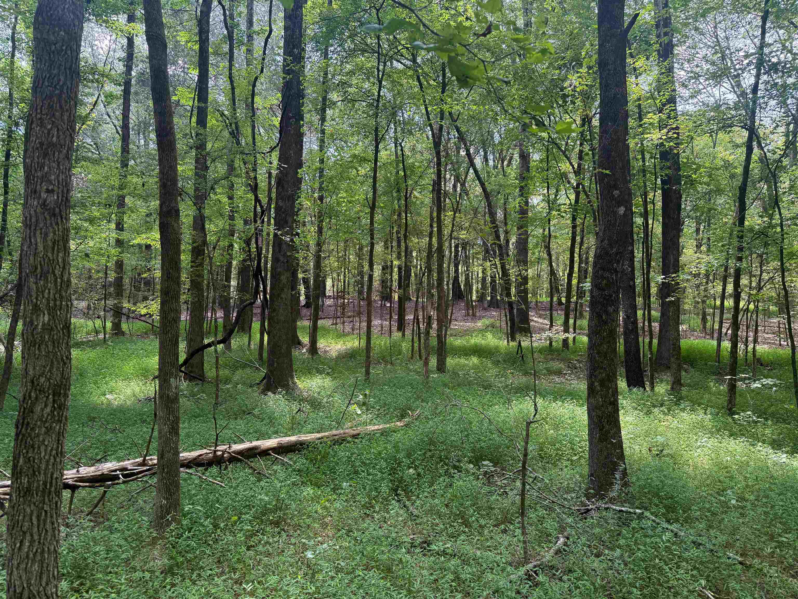 0 Donelson Dr Property Photo 26