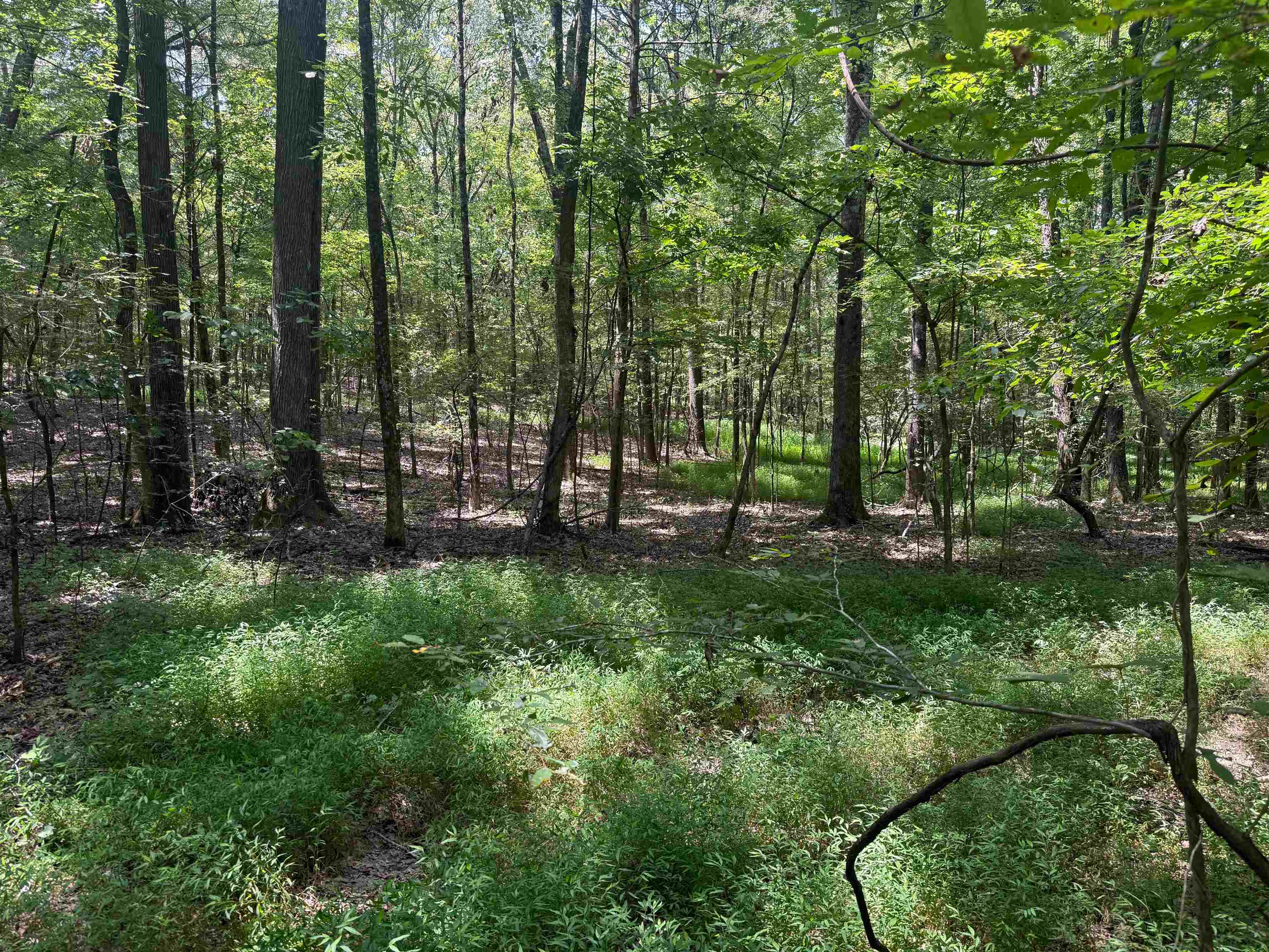 0 Donelson Dr Property Photo 27