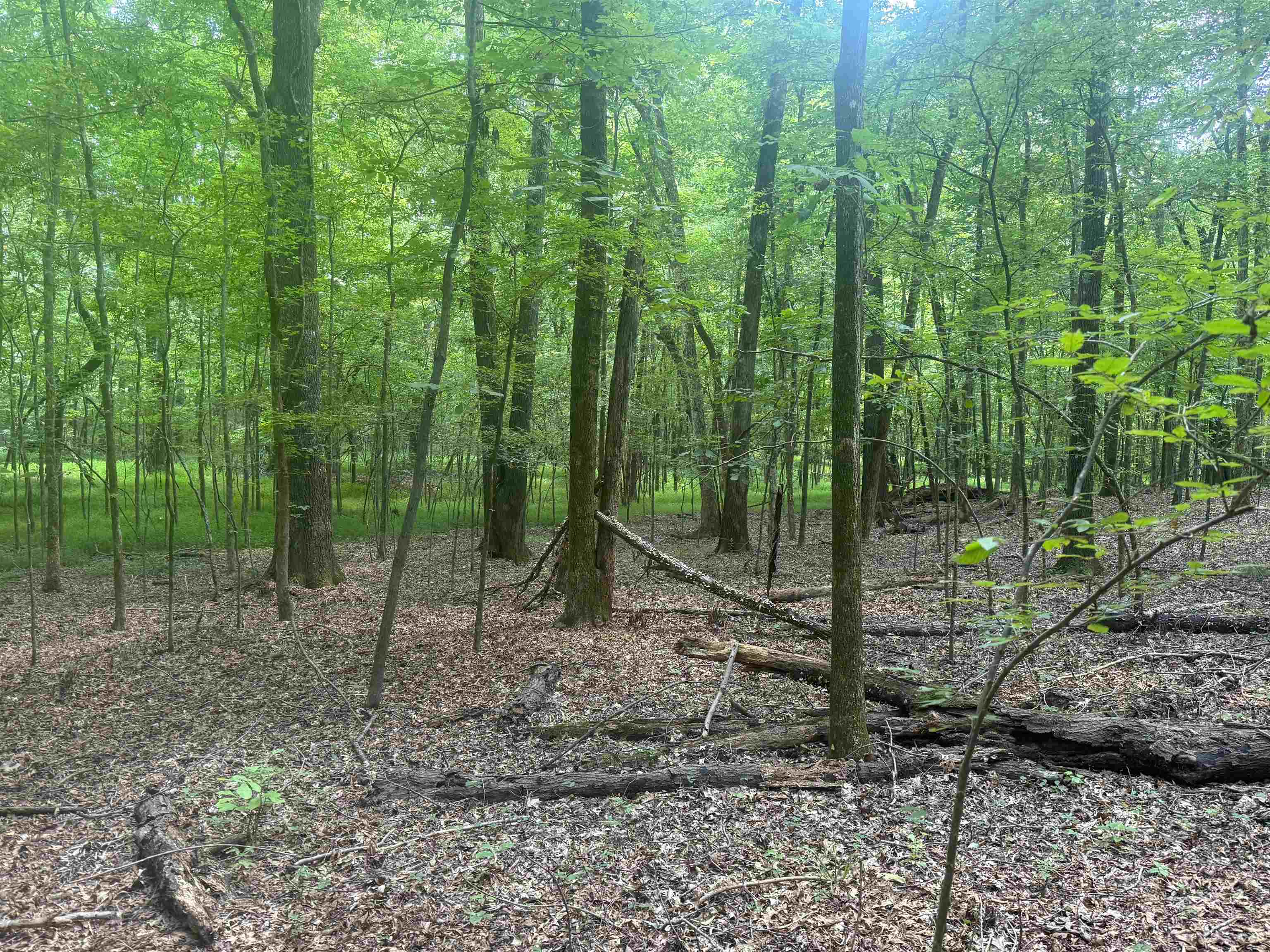 0 Donelson Dr Property Photo 33