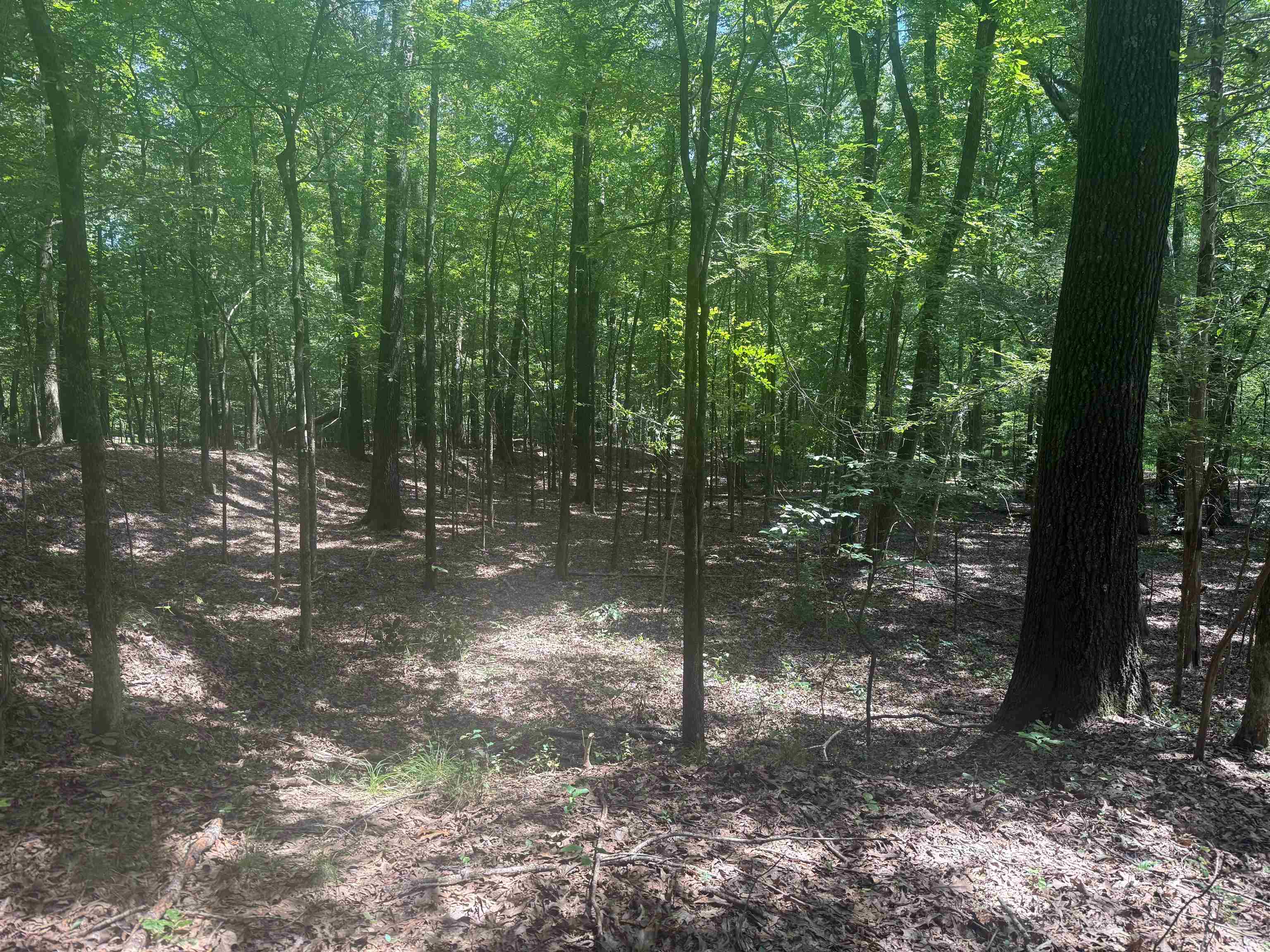 0 Donelson Dr Property Photo 34