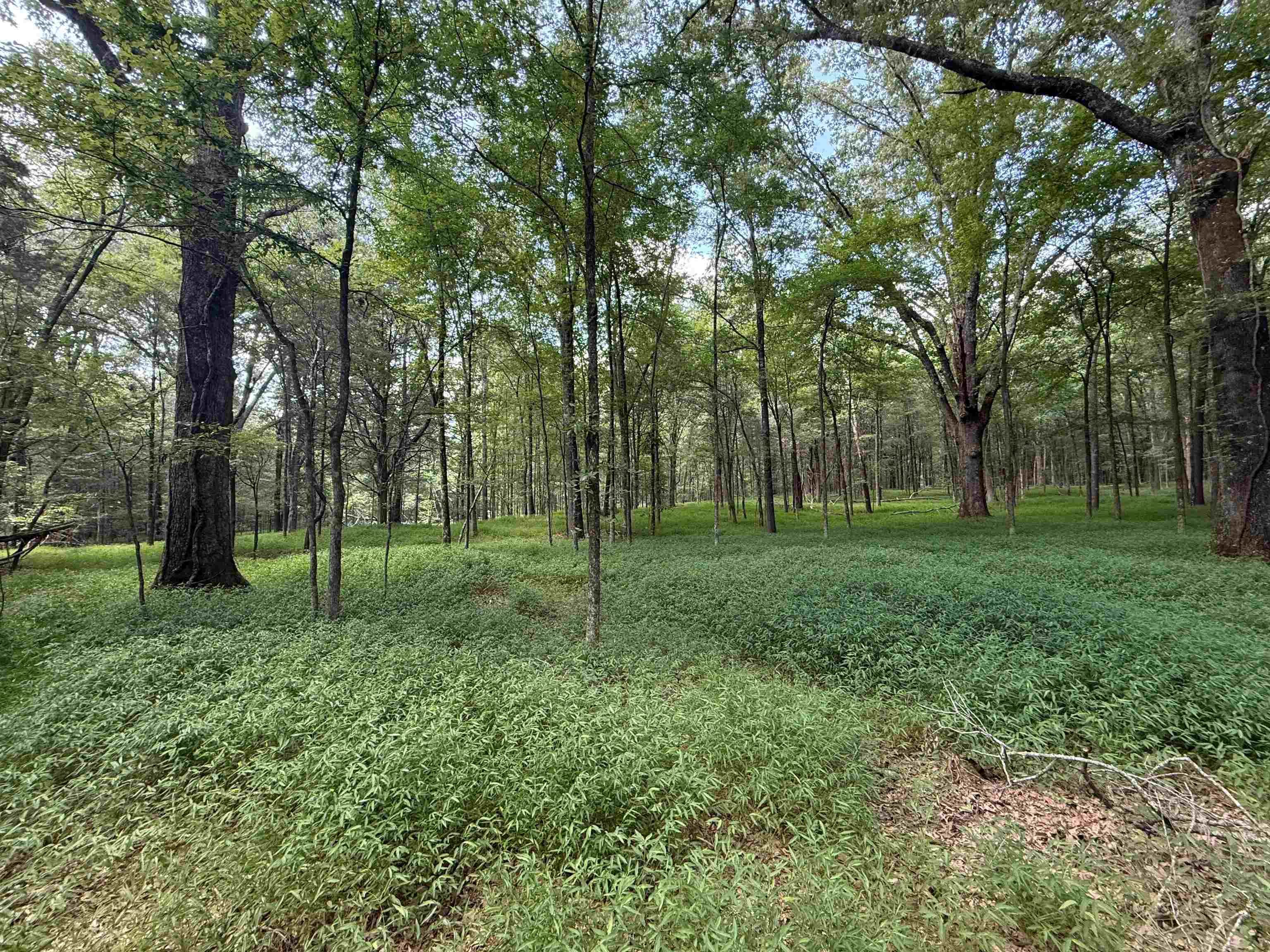 0 Donelson Dr Property Photo 35