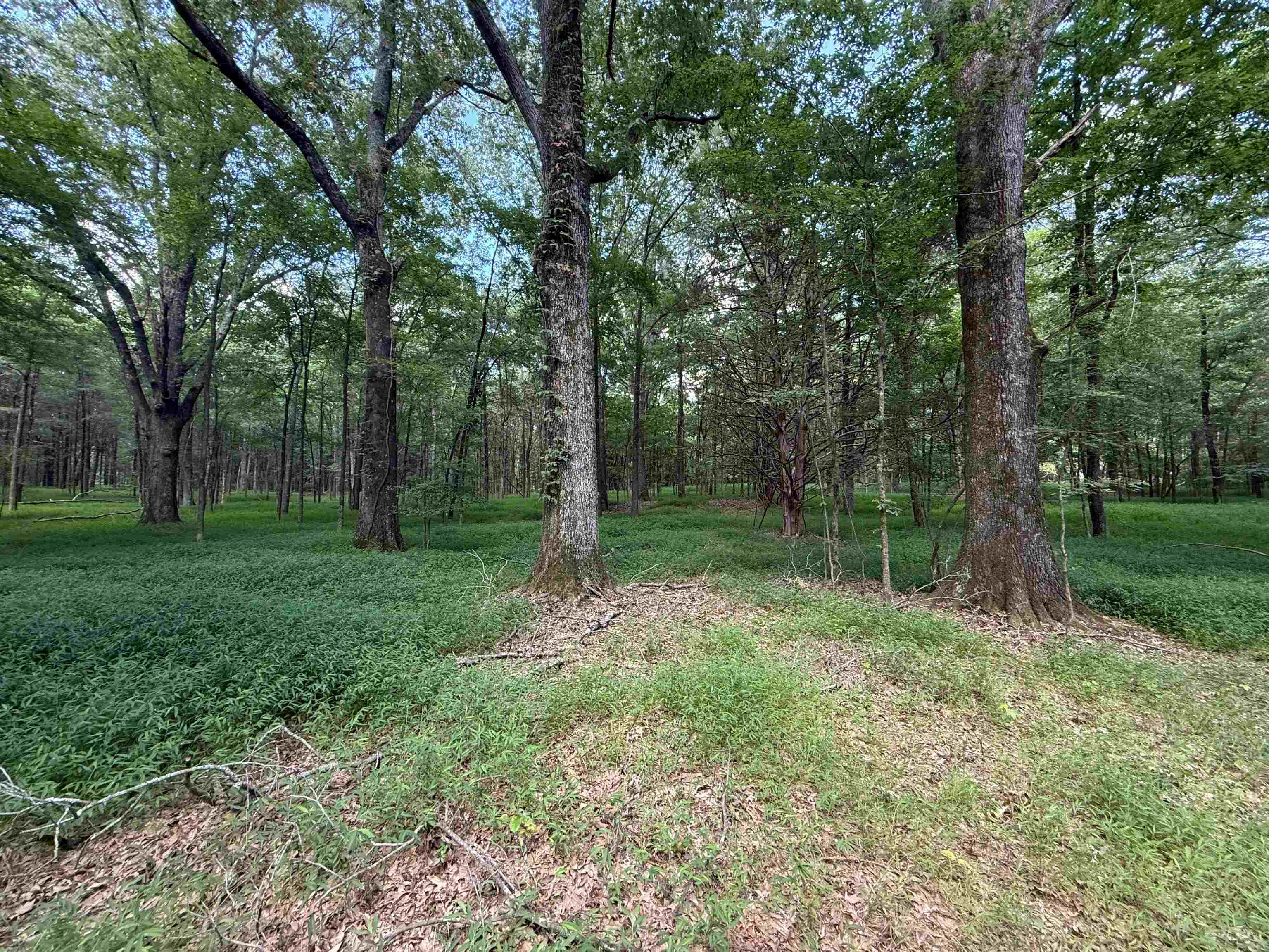 0 Donelson Dr Property Photo 36