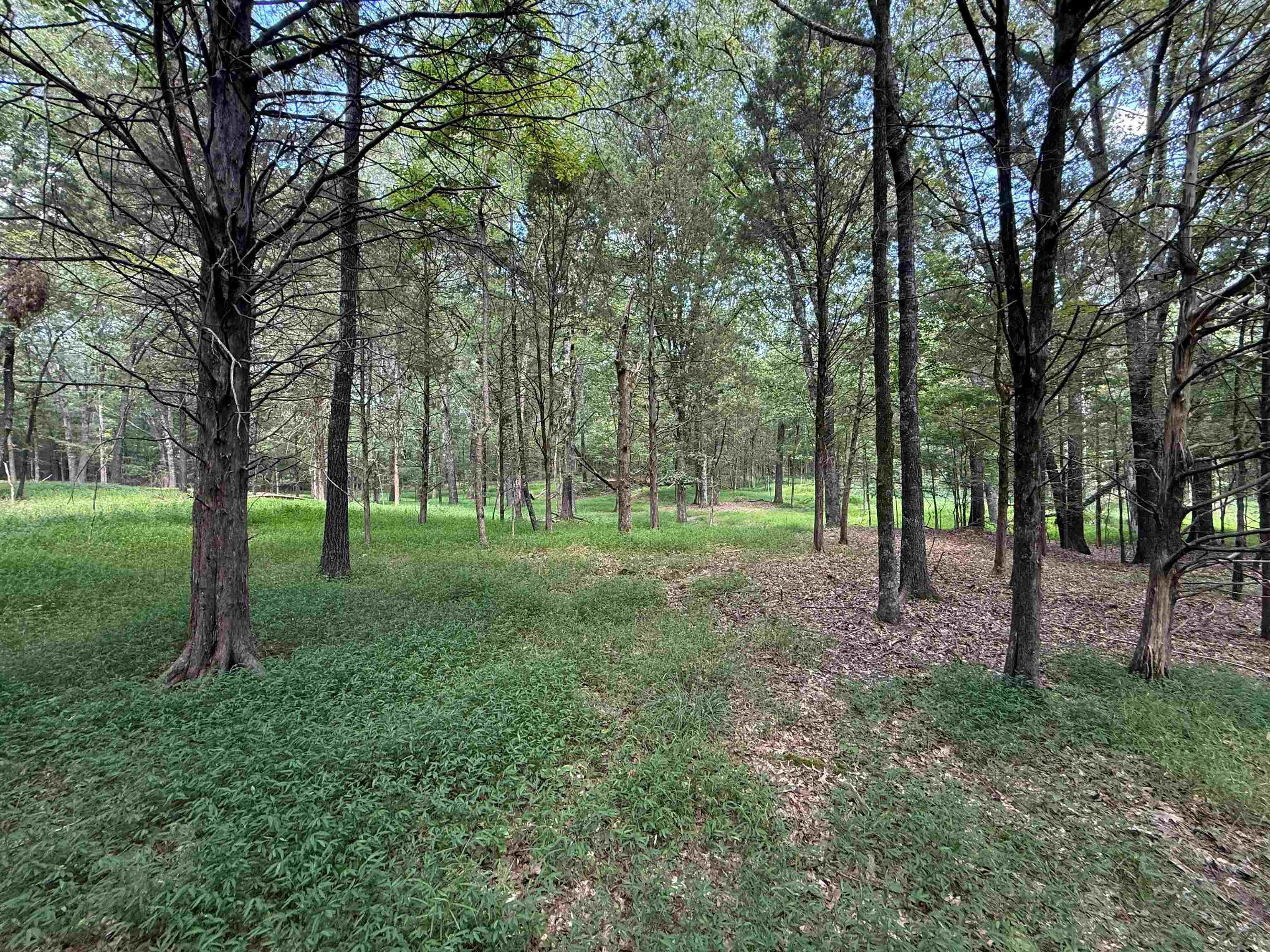 0 Donelson Dr Property Photo 37