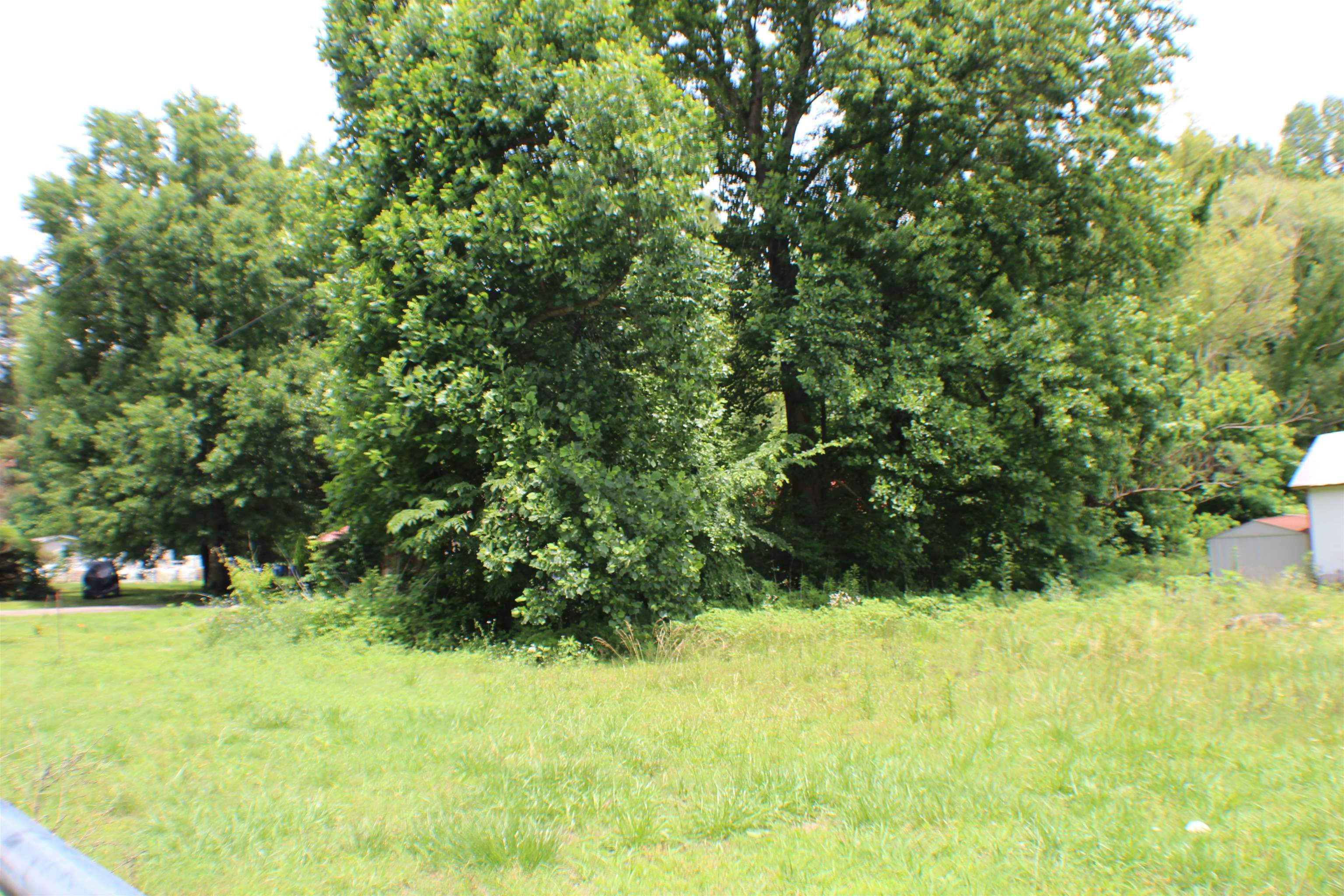 2456 Ray Bluff Rd Property Photo 2