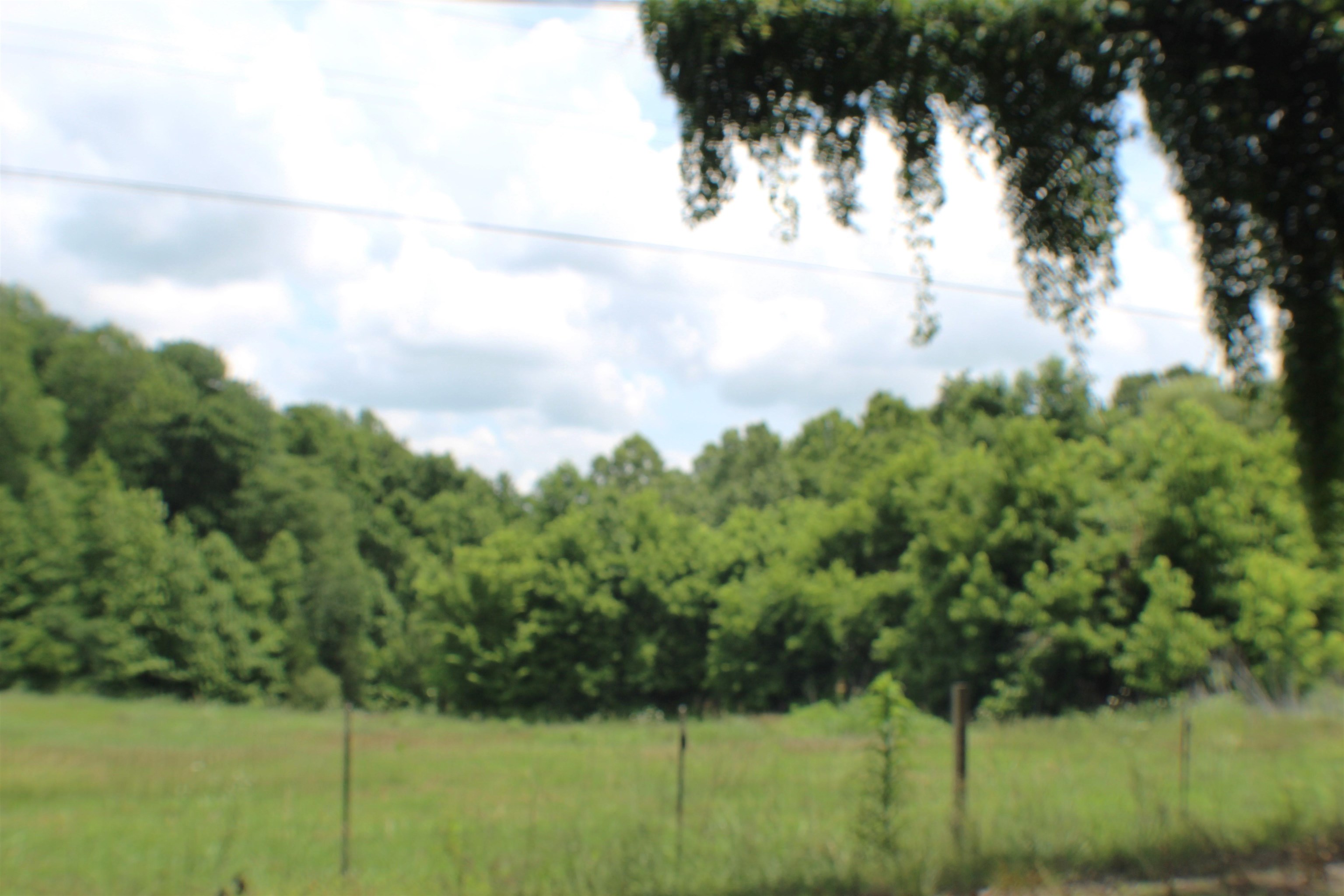 2456 Ray Bluff Rd Property Photo 3