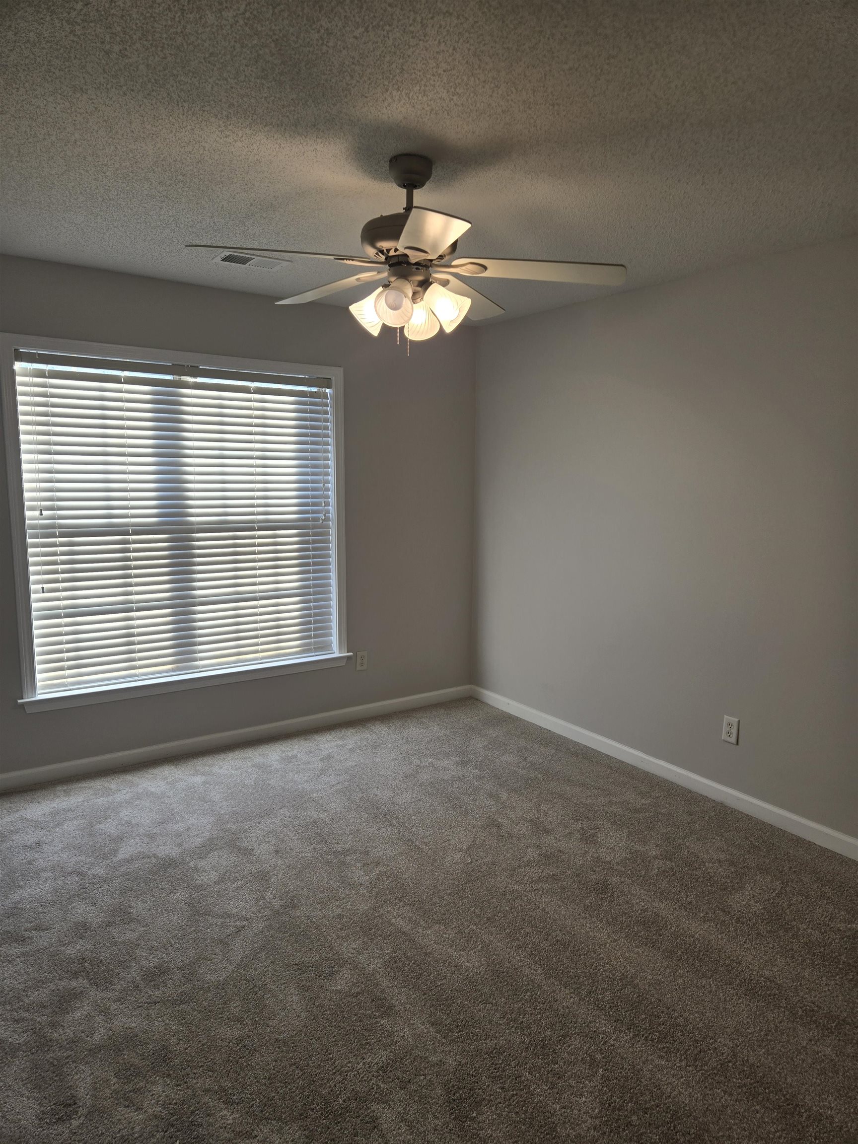 8280 Rebecca Woods Dr Property Photo 12