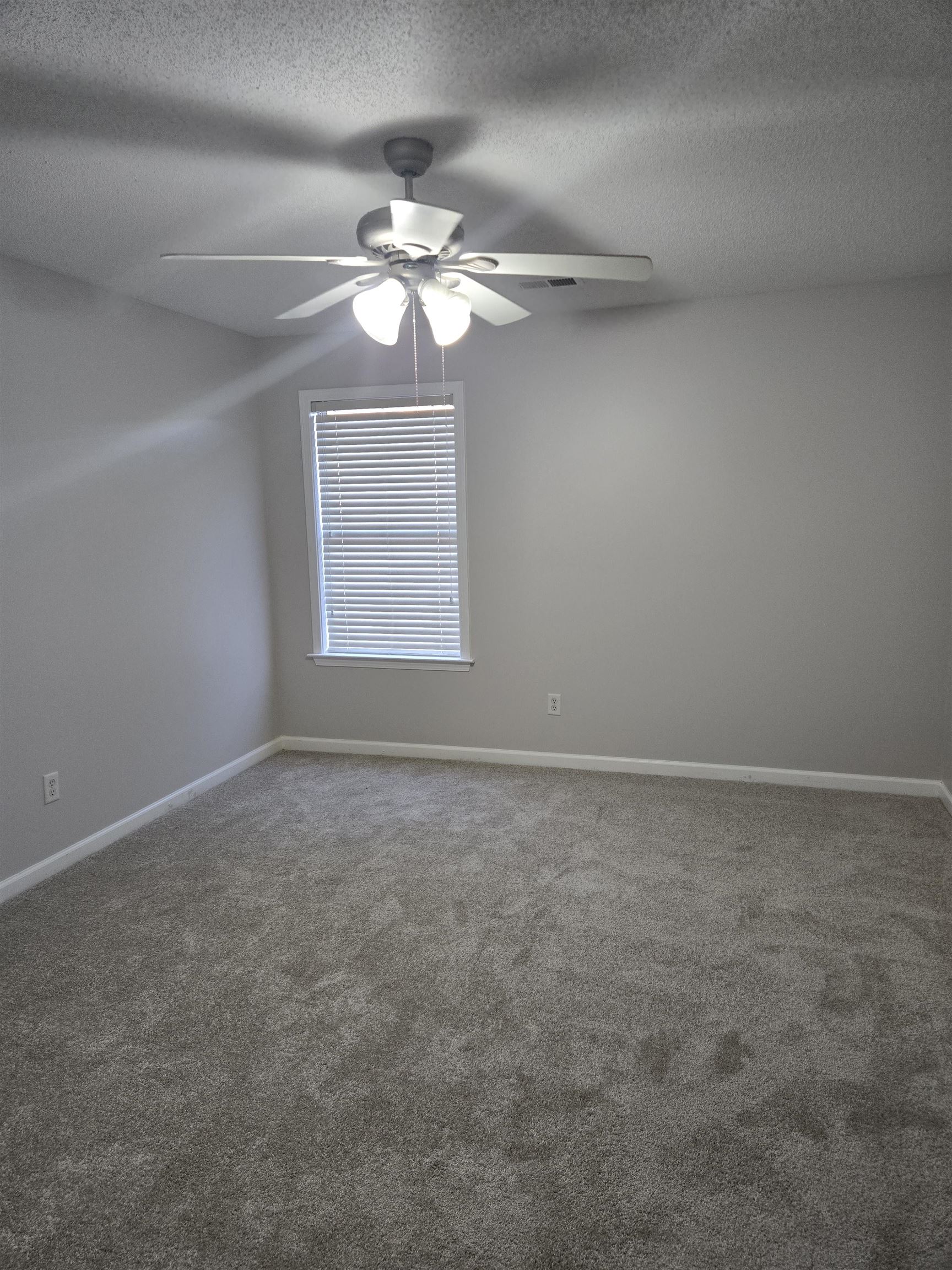 8280 Rebecca Woods Dr Property Photo 13