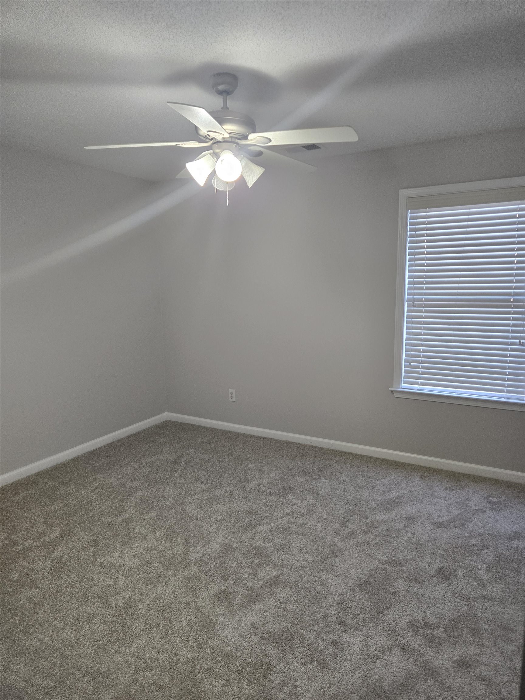 8280 Rebecca Woods Dr Property Photo 14