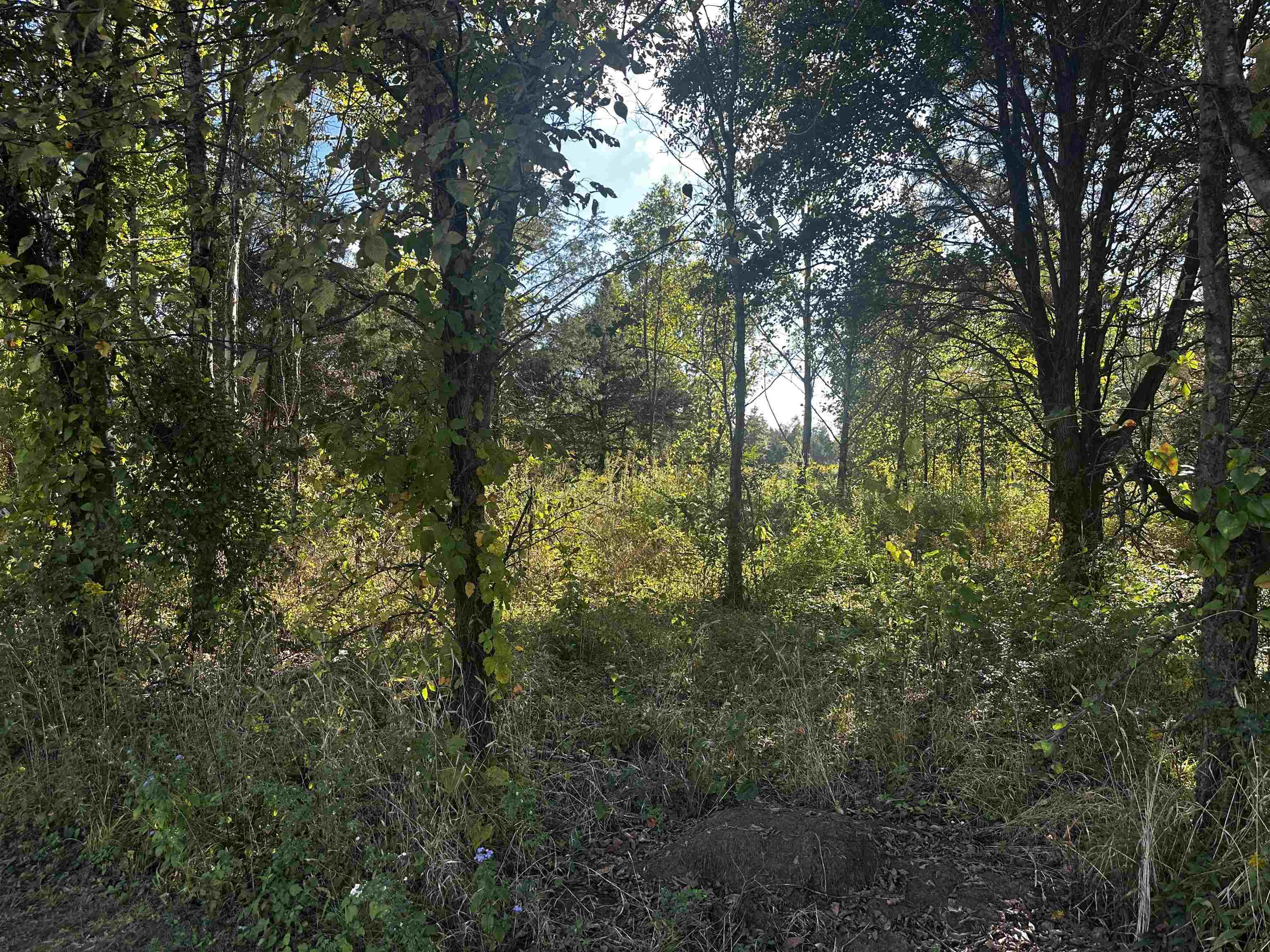 152-155 Catfish Ln Ln Property Photo 10