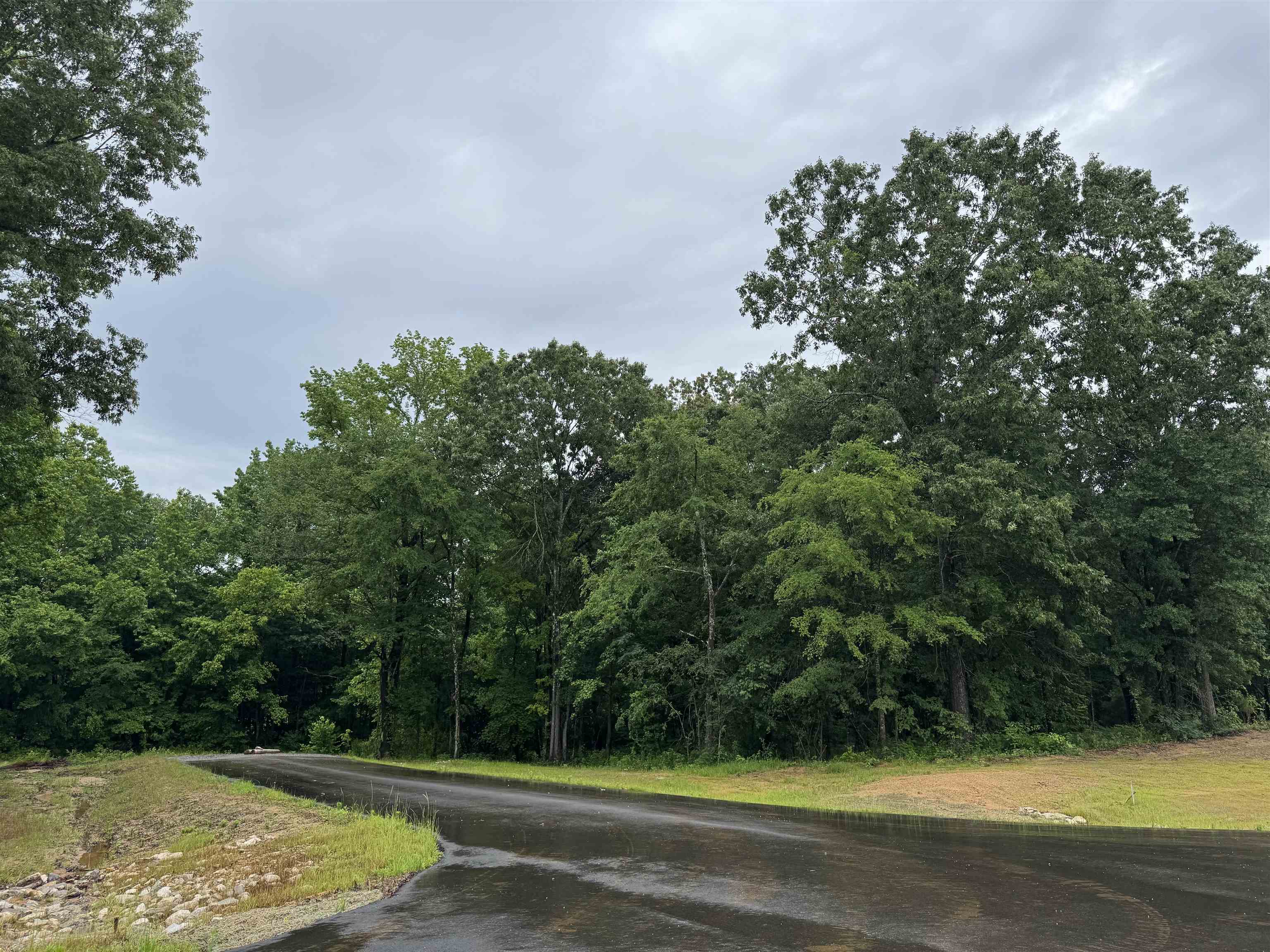 235 Simsbury Loop Property Photo 4