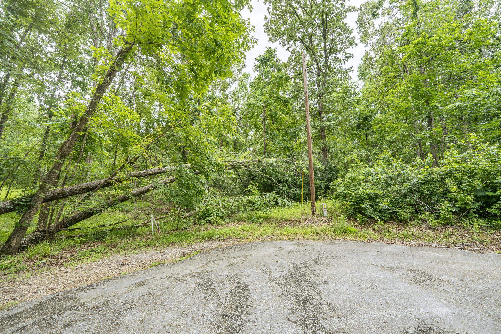 Lot 528 Masters Ct Property Photo 2