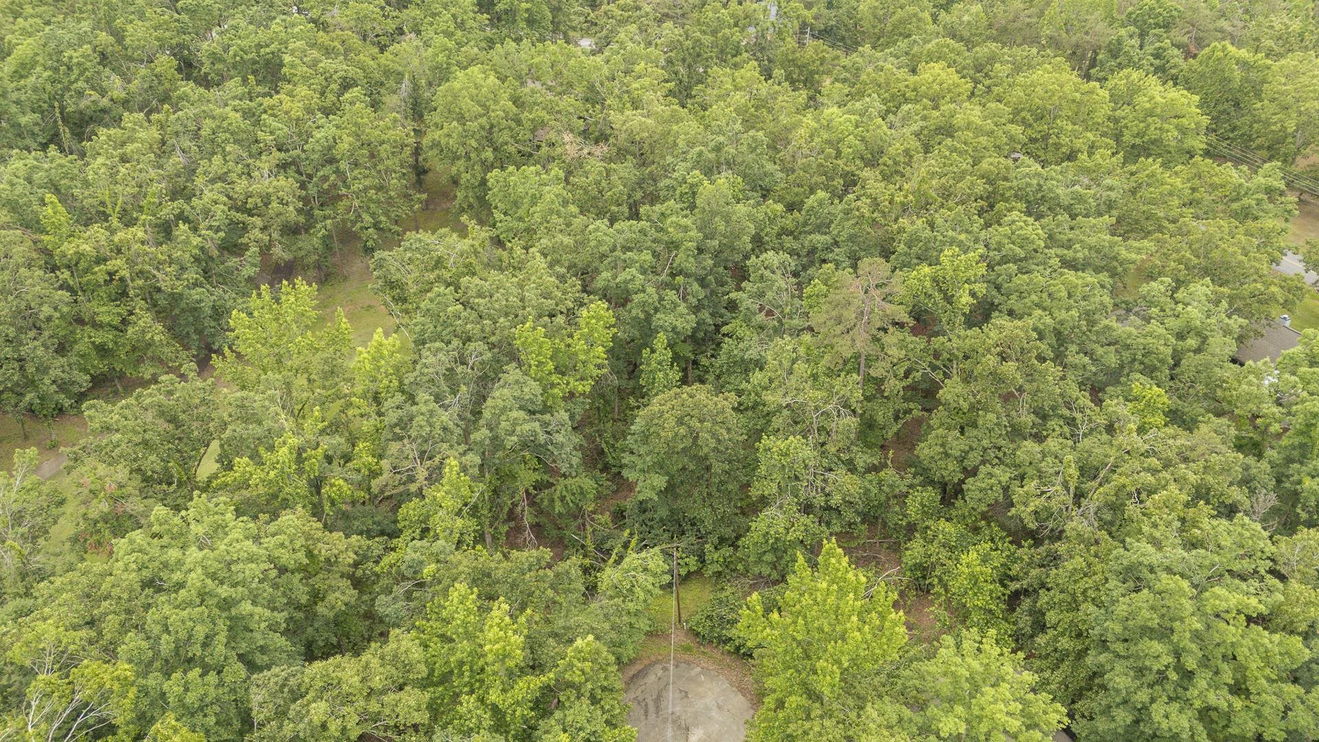 Lot 528 Masters Ct Property Photo 3