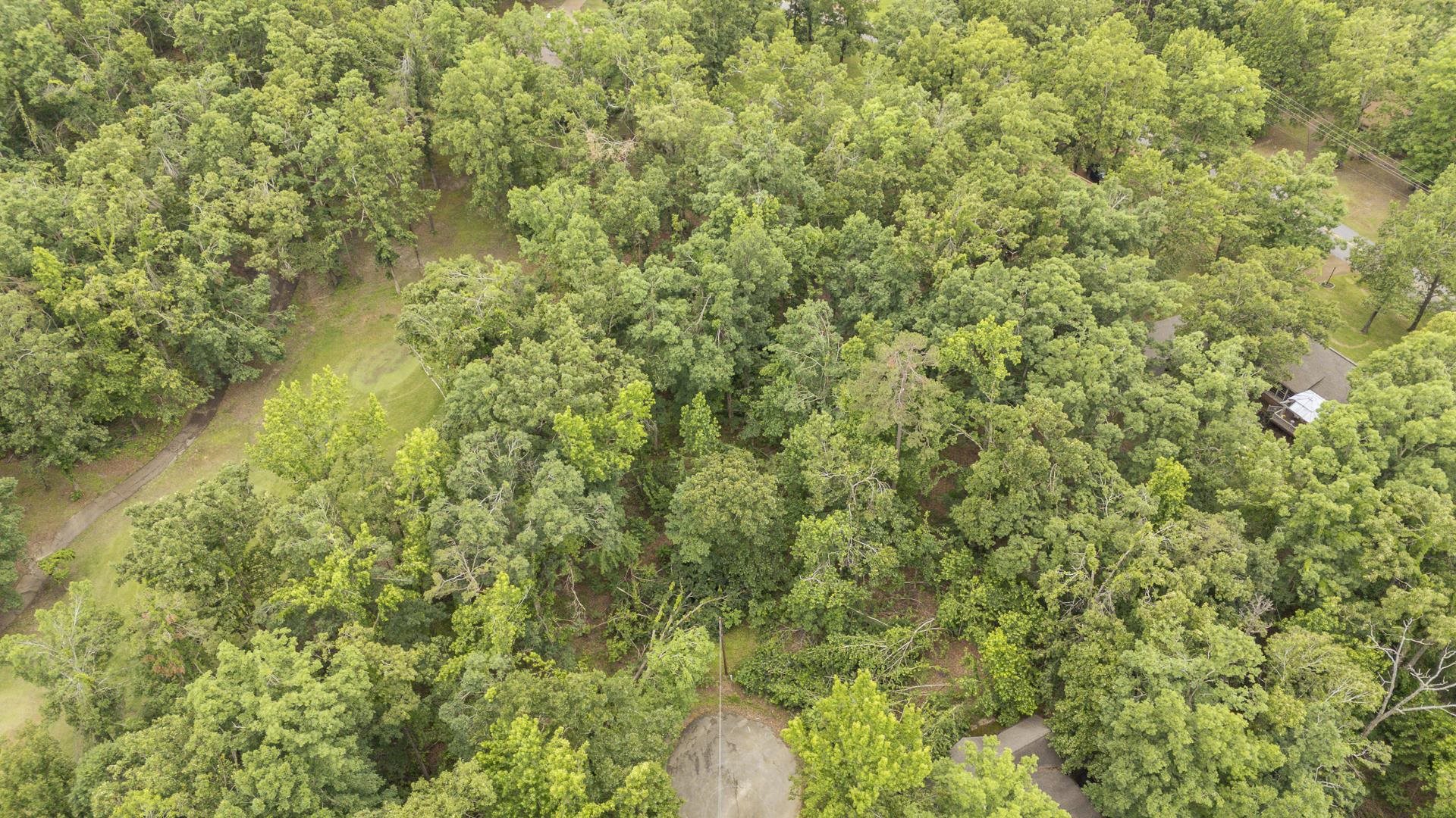 Lot 528 Masters Ct Property Photo 4