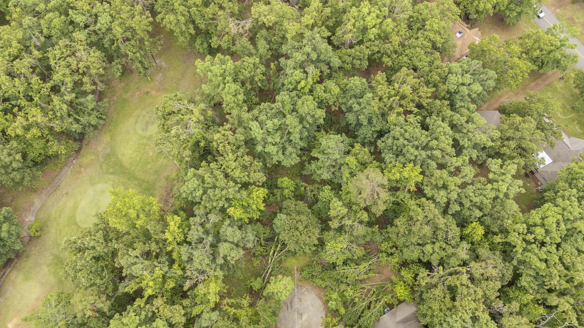 Lot 528 Masters Ct Property Photo 5