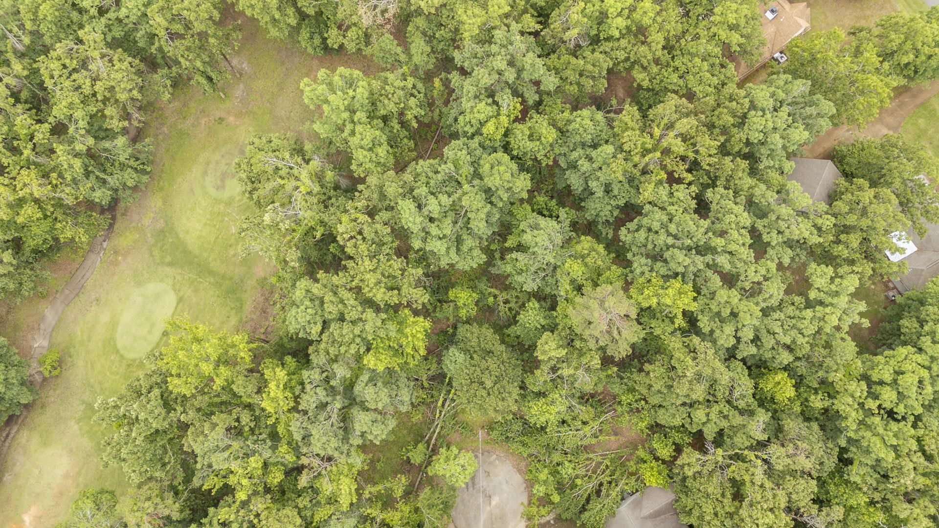 Lot 528 Masters Ct Property Photo 6