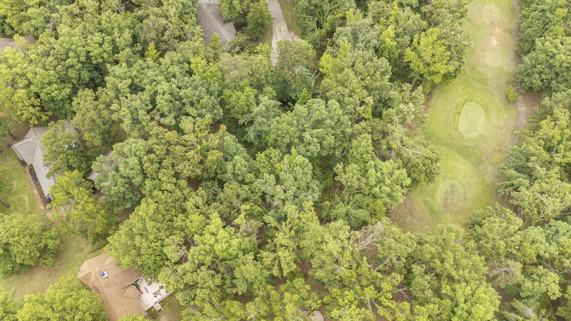Lot 528 Masters Ct Property Photo 7