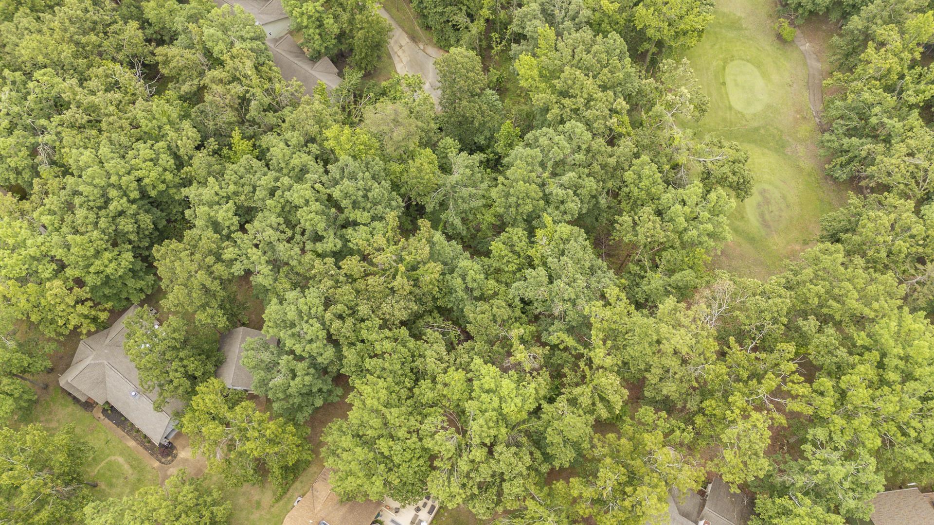 Lot 528 Masters Ct Property Photo 8