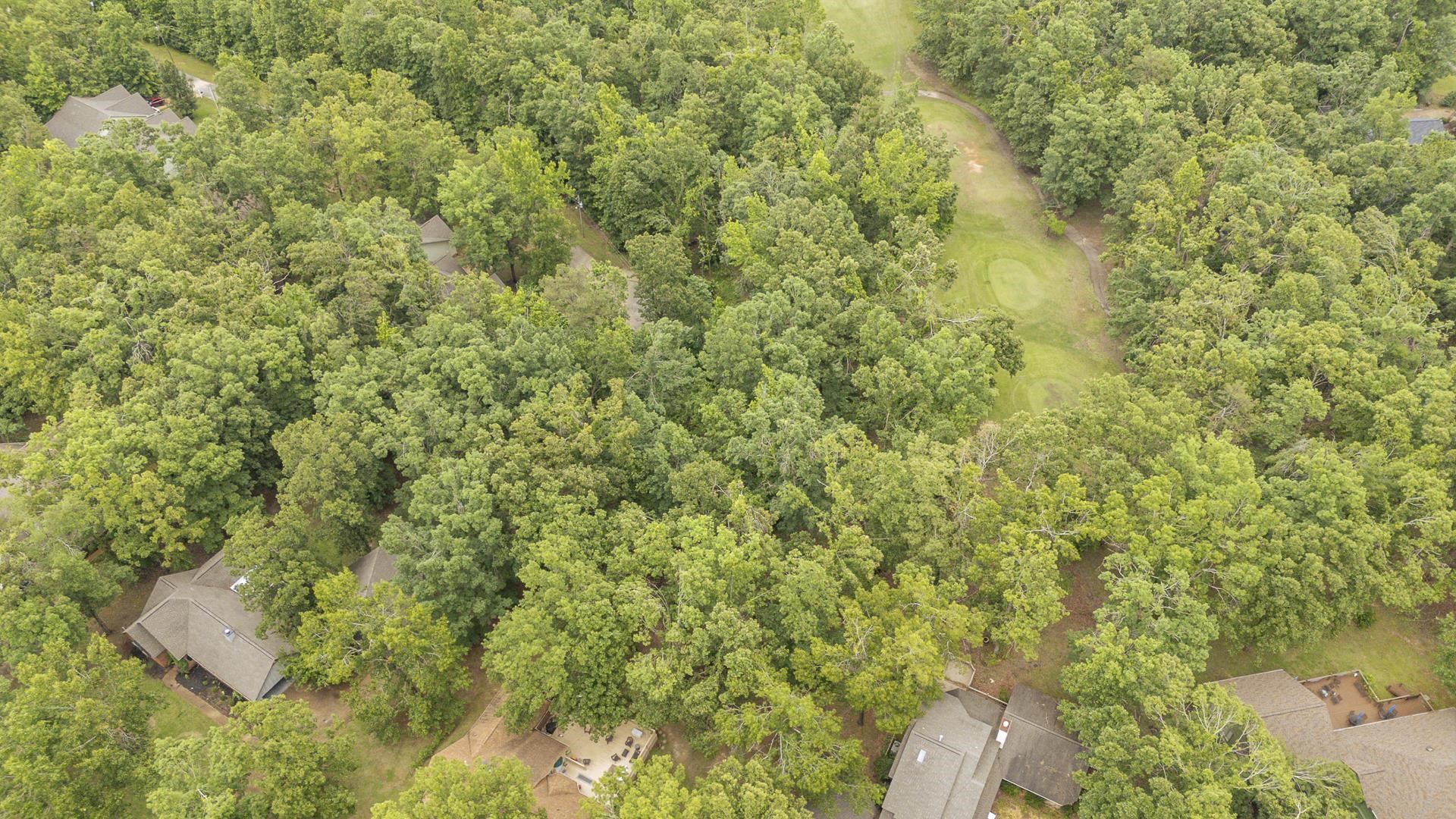 Lot 528 Masters Ct Property Photo 9