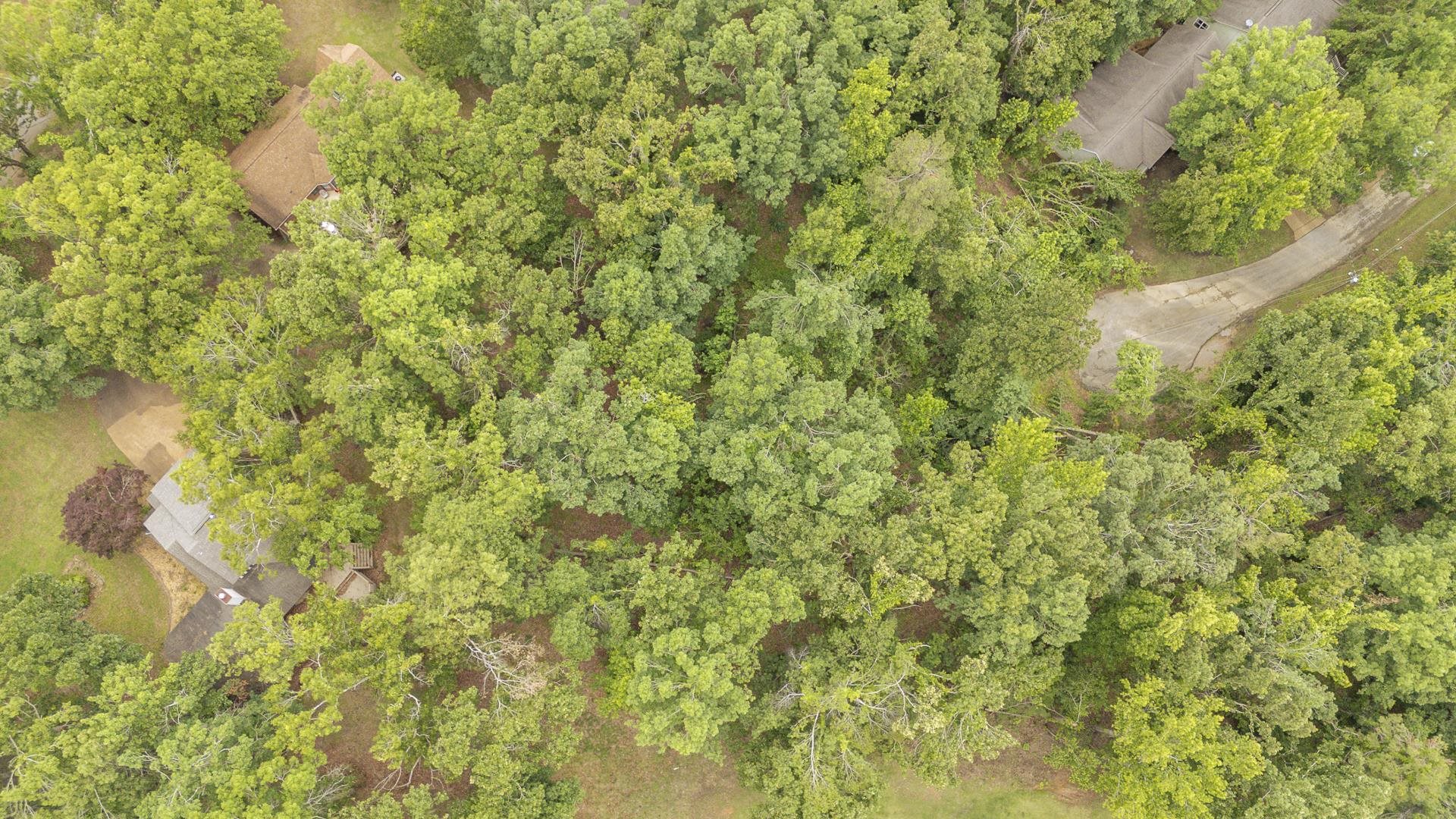 Lot 528 Masters Ct Property Photo 17