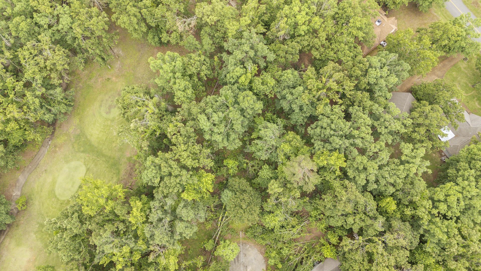Lot 528 Masters Ct Property Photo 21